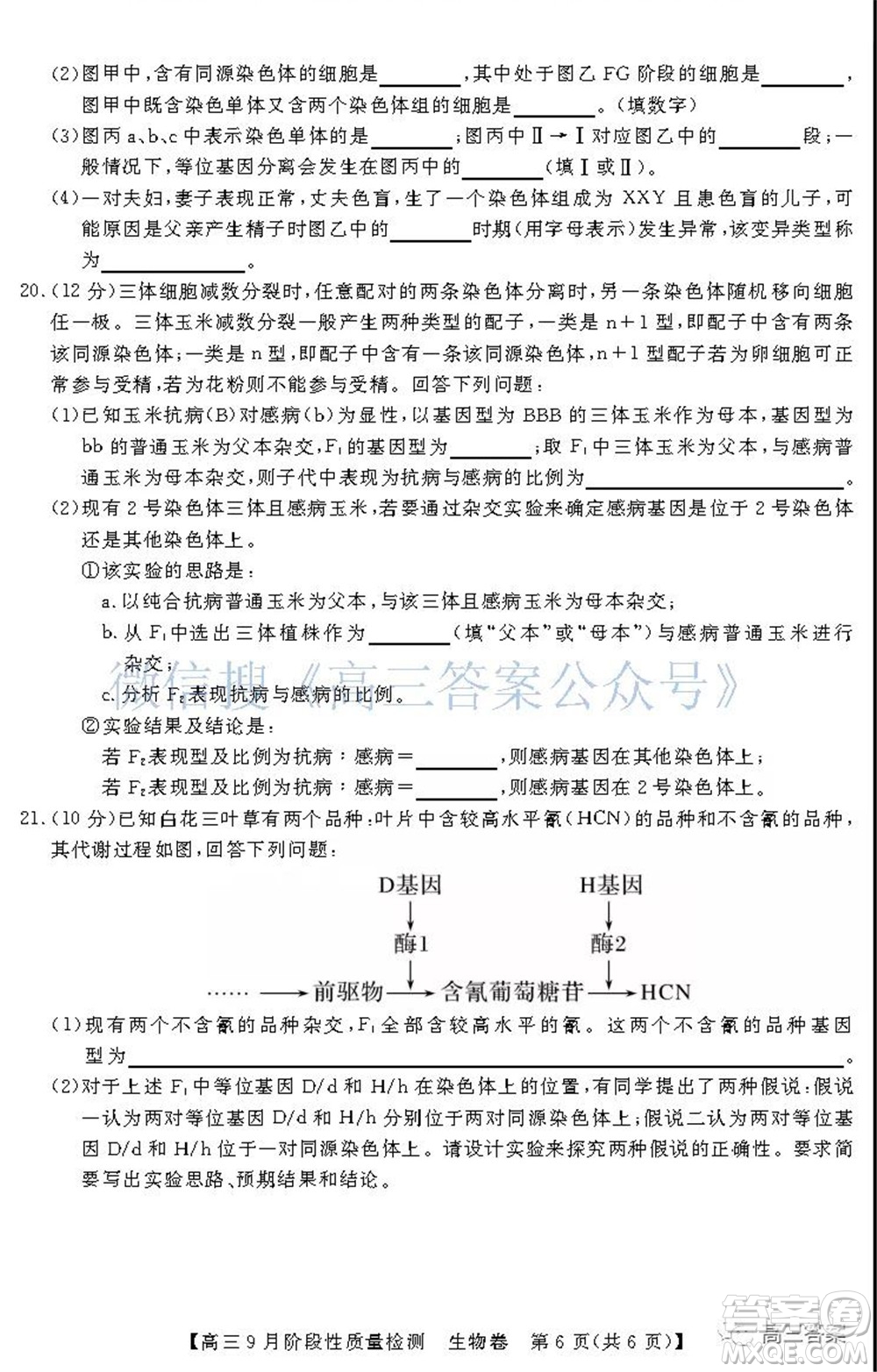 廣東省普通高中2022屆高三9月階段性質量檢測生物試題及答案