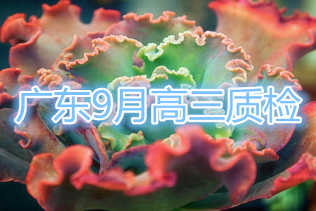 廣東省普通高中2022屆高三9月階段性質量檢測地理試題及答案