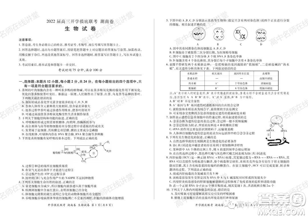 2022屆高三開學摸底聯(lián)考新高考I卷湖南卷生物試卷及答案