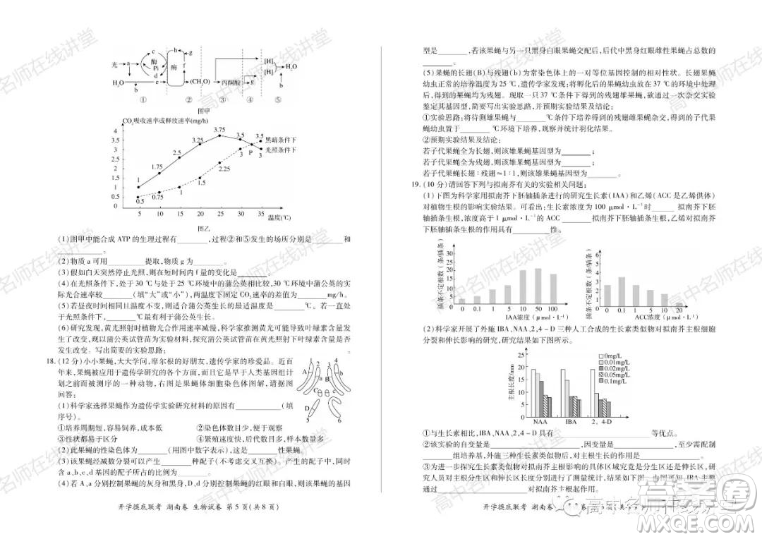 2022屆高三開學摸底聯(lián)考新高考I卷湖南卷生物試卷及答案