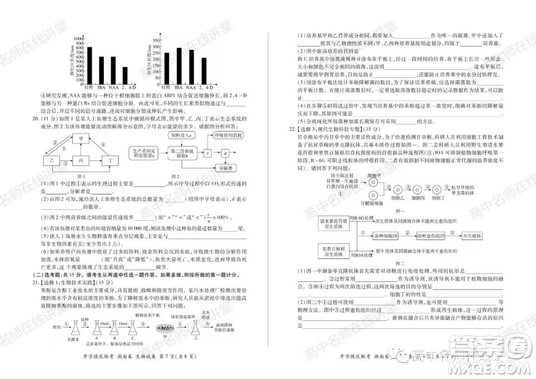 2022屆高三開學摸底聯(lián)考新高考I卷湖南卷生物試卷及答案