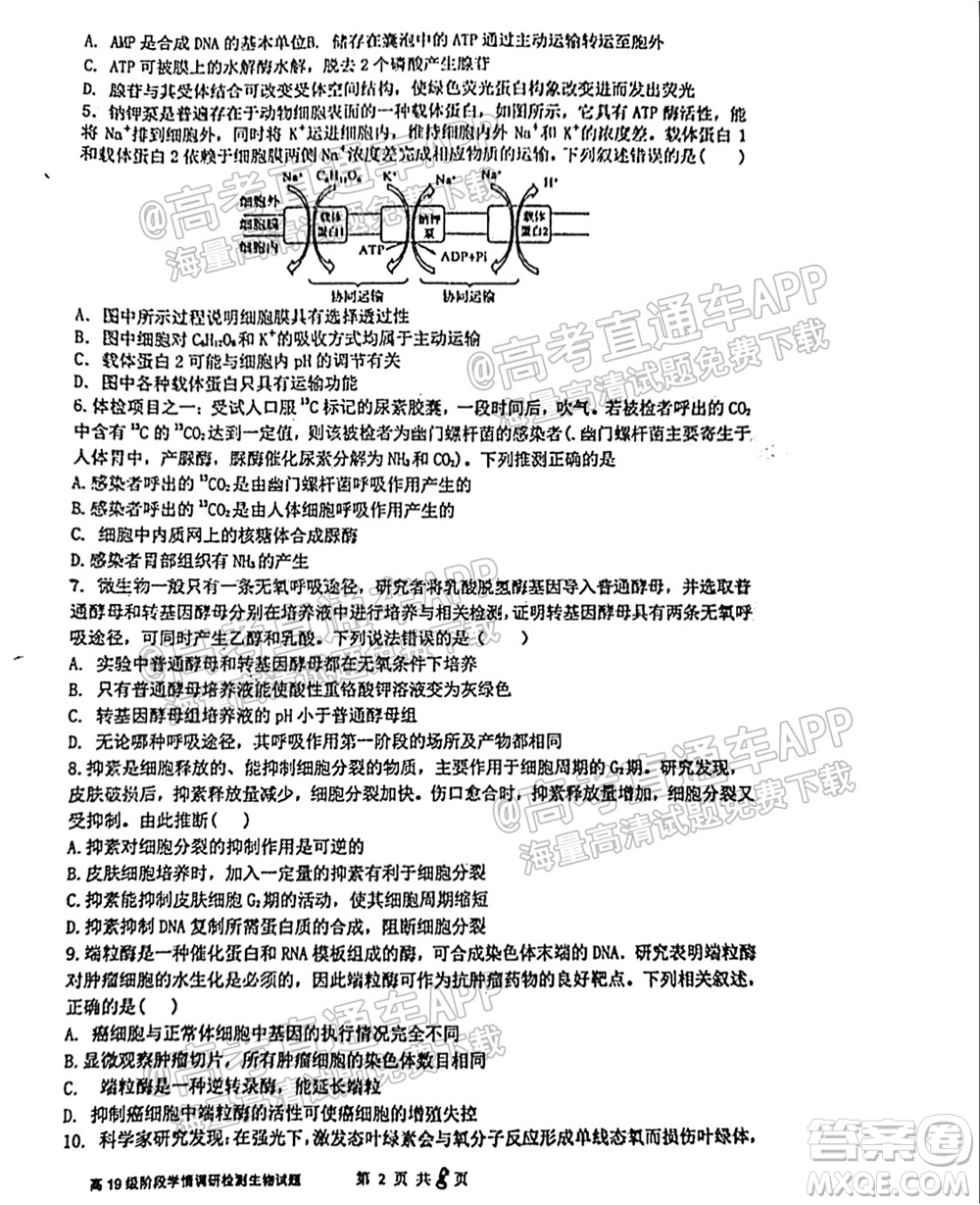 臨沂高19級階段學情調研生物試卷及答案