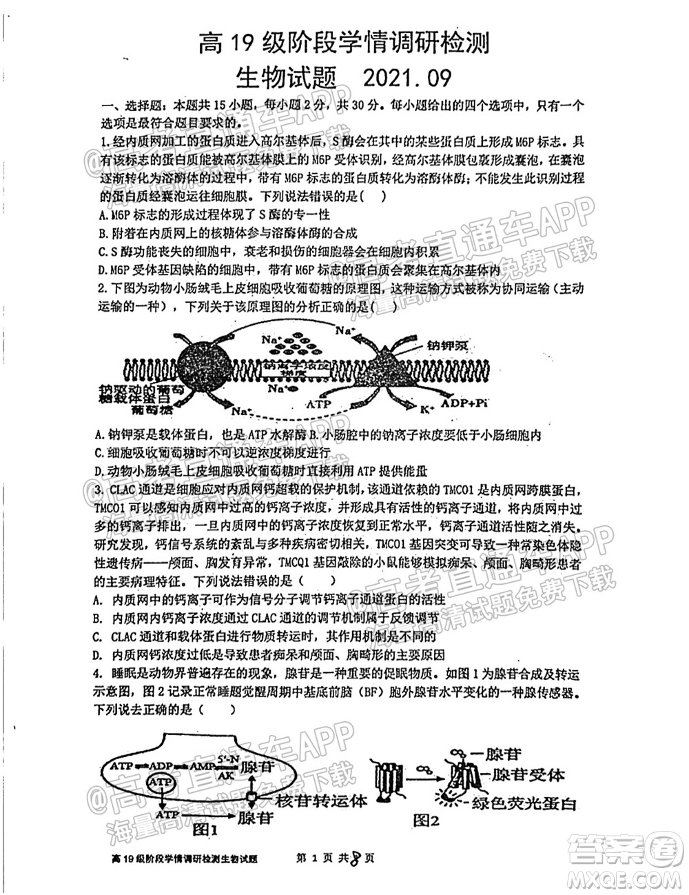臨沂高19級階段學情調研生物試卷及答案