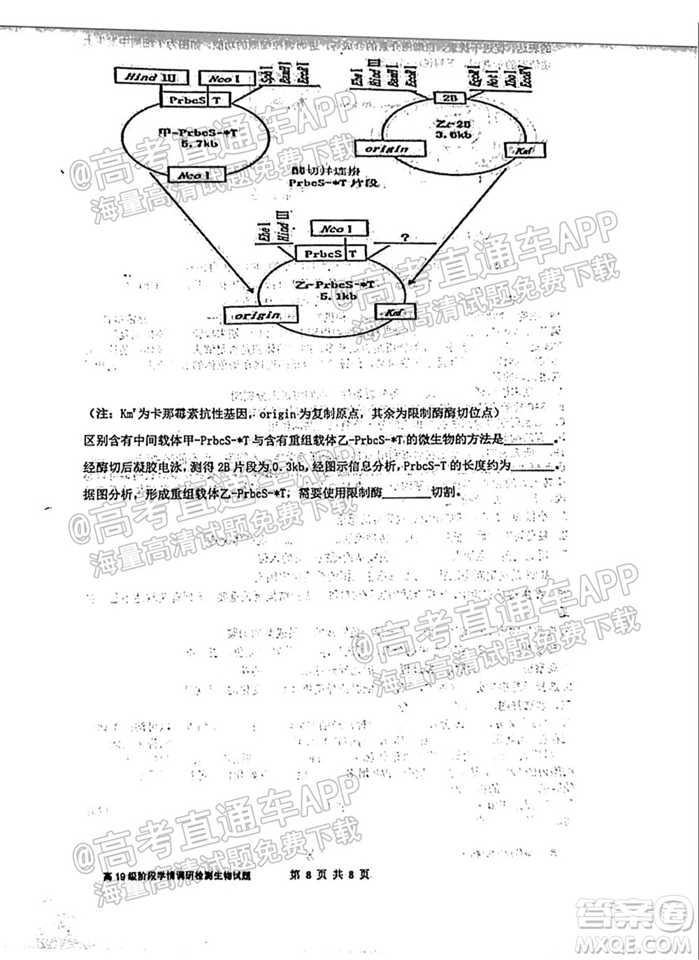 臨沂高19級階段學情調研生物試卷及答案