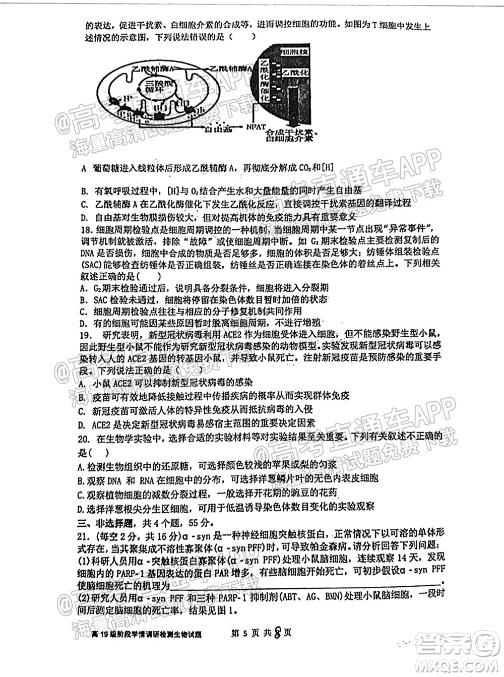臨沂高19級階段學情調研生物試卷及答案
