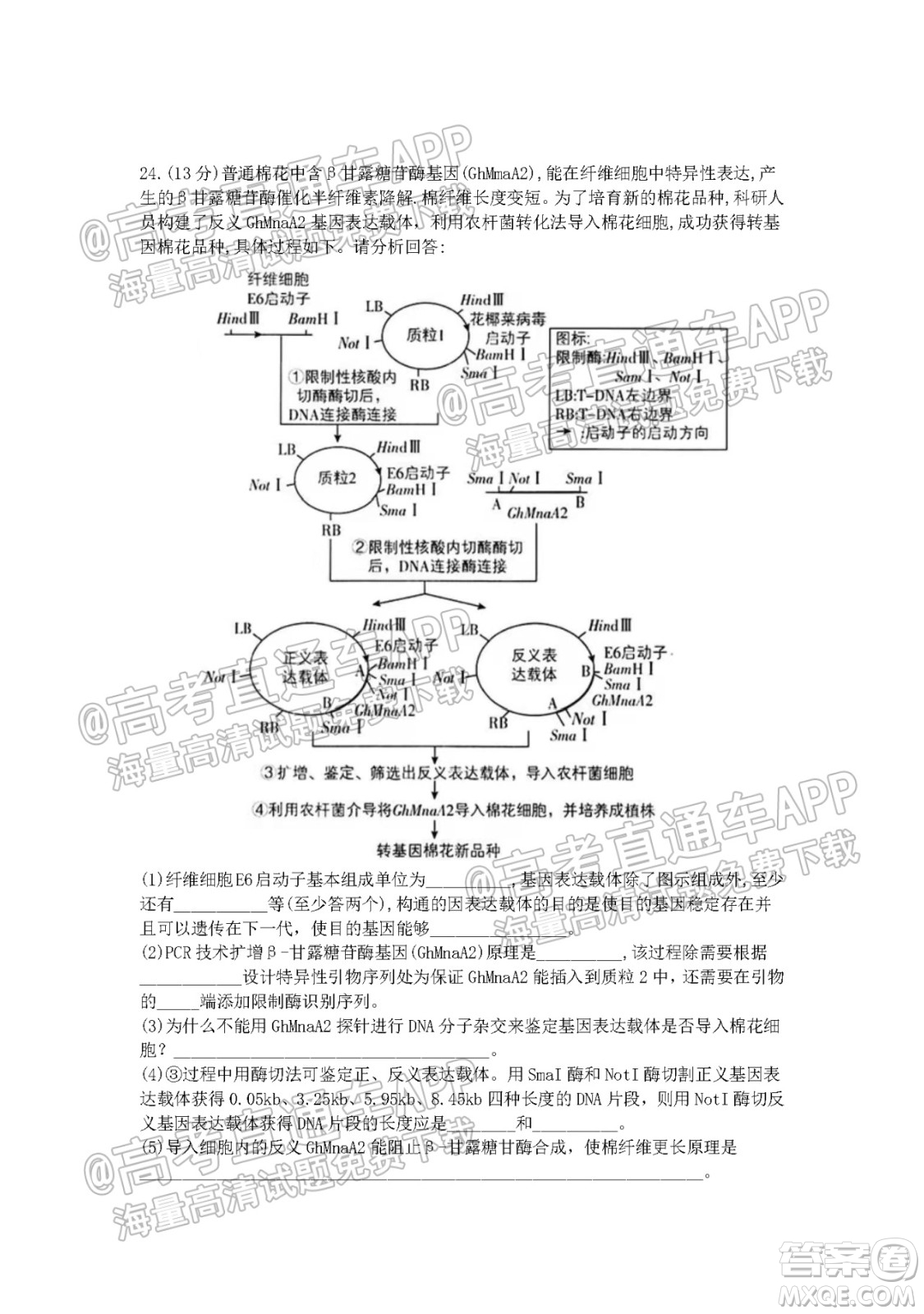 江蘇省2022屆百校聯(lián)考高三年級(jí)第一次考試生物試題及答案