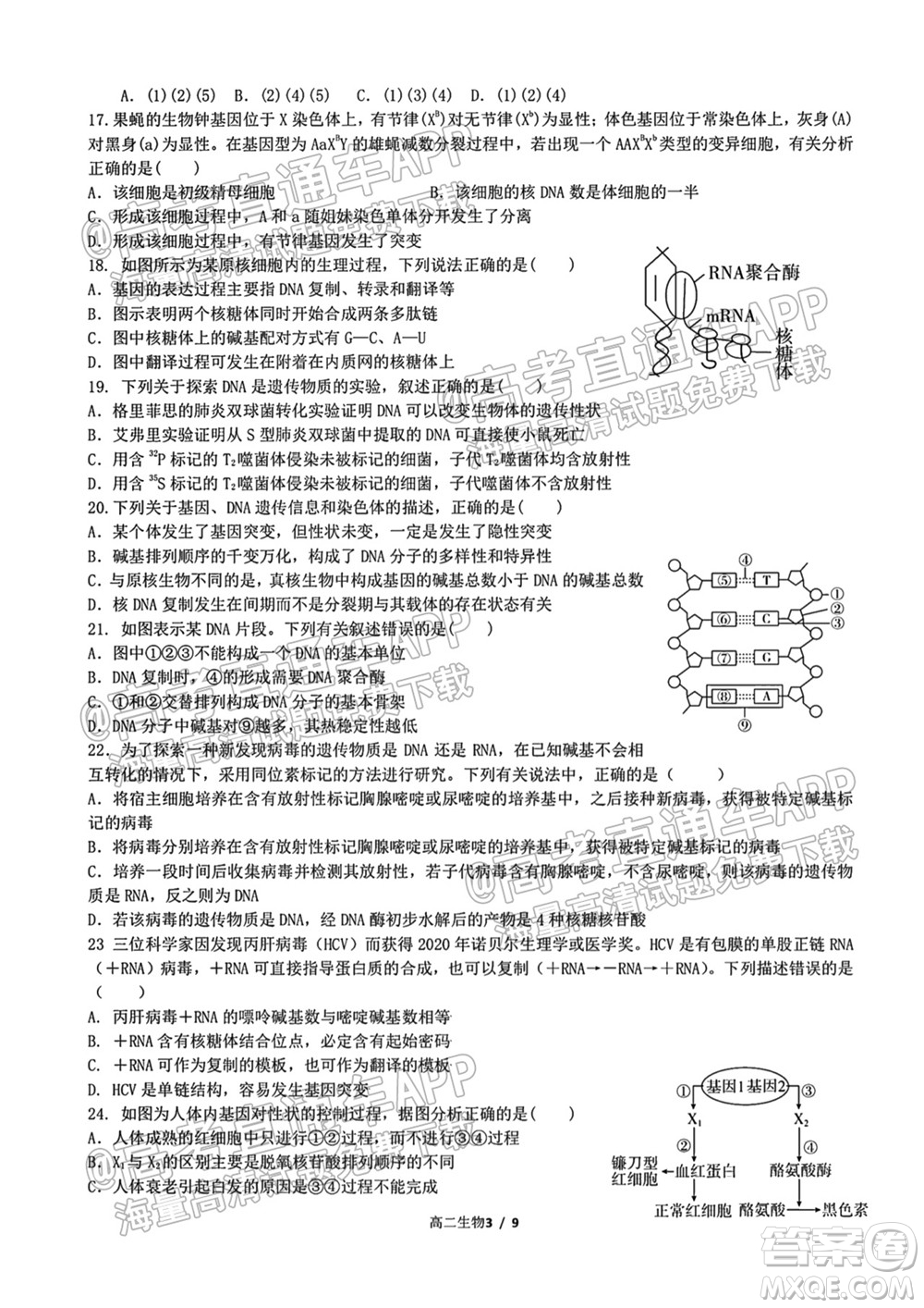 成都外國語學校2021-2022上期高二入學考試生物試題及答案