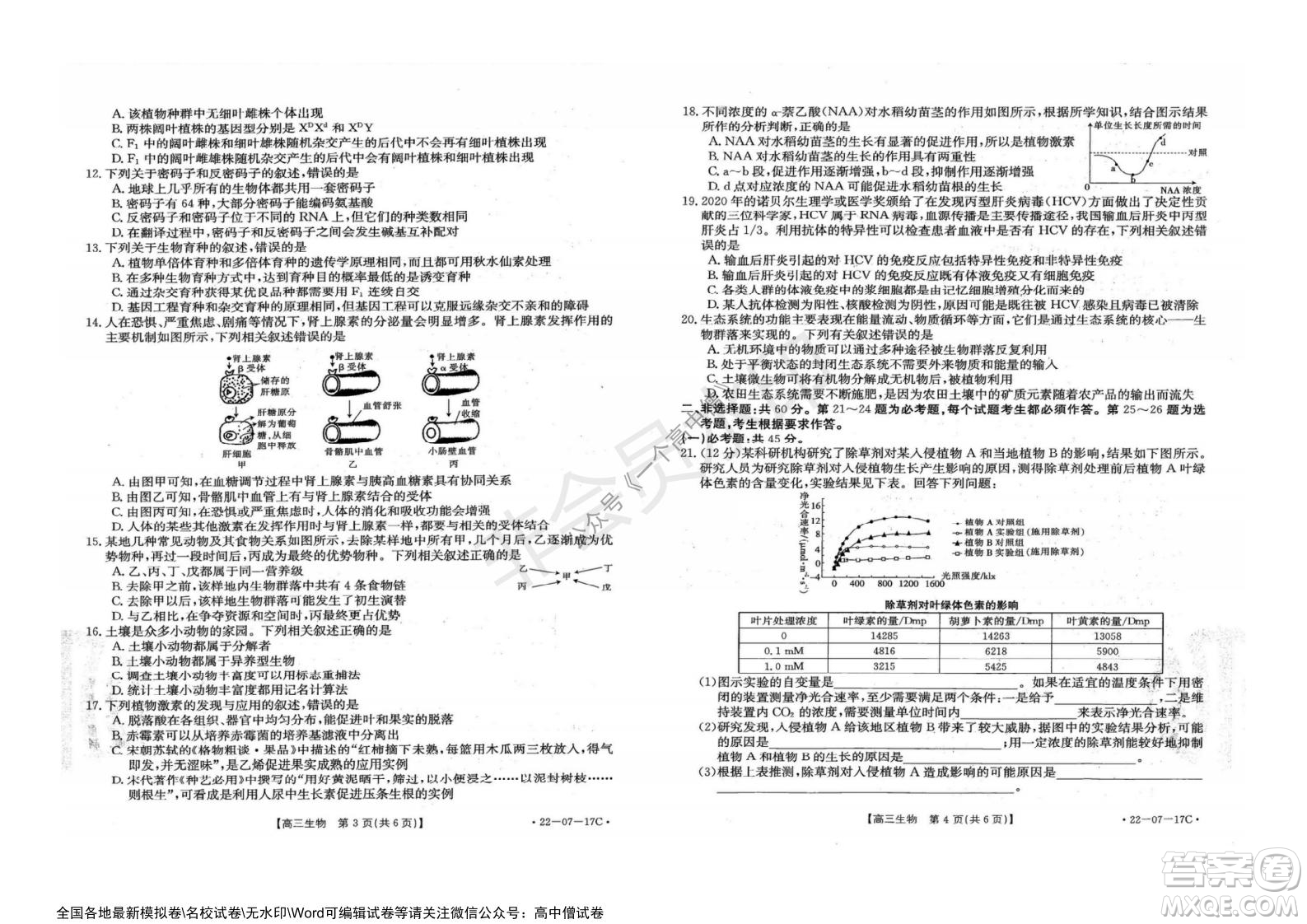 2022屆重慶金太陽高三9月聯(lián)考生物試題及答案