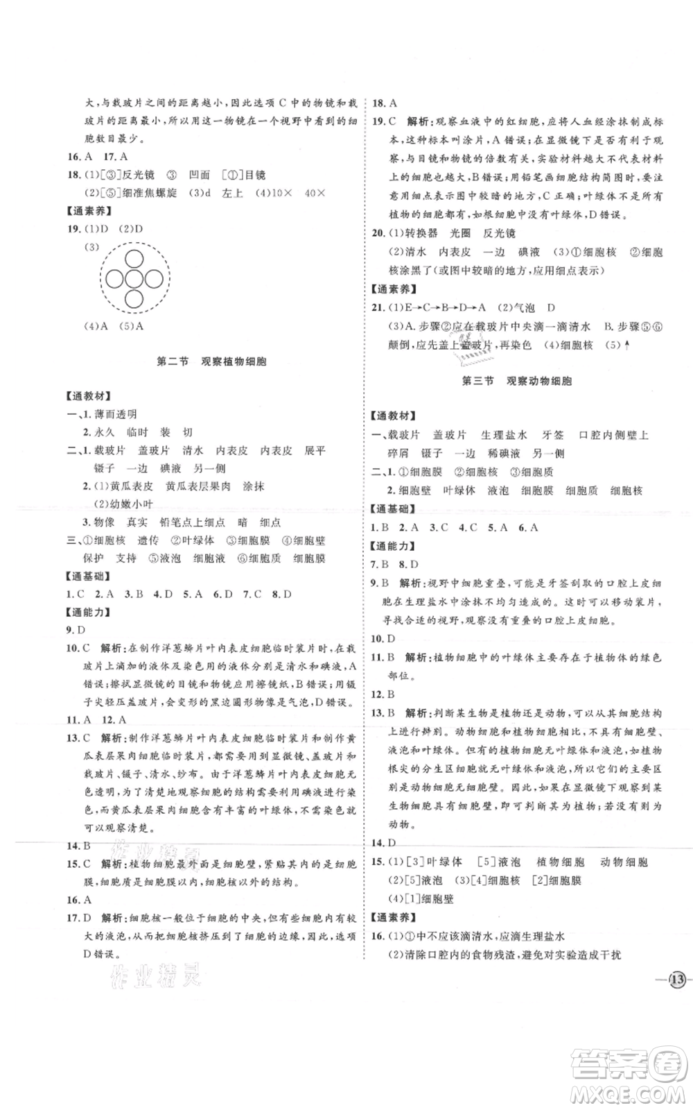 吉林教育出版社2021優(yōu)+學(xué)案課時通六年級上冊生物魯科版參考答案