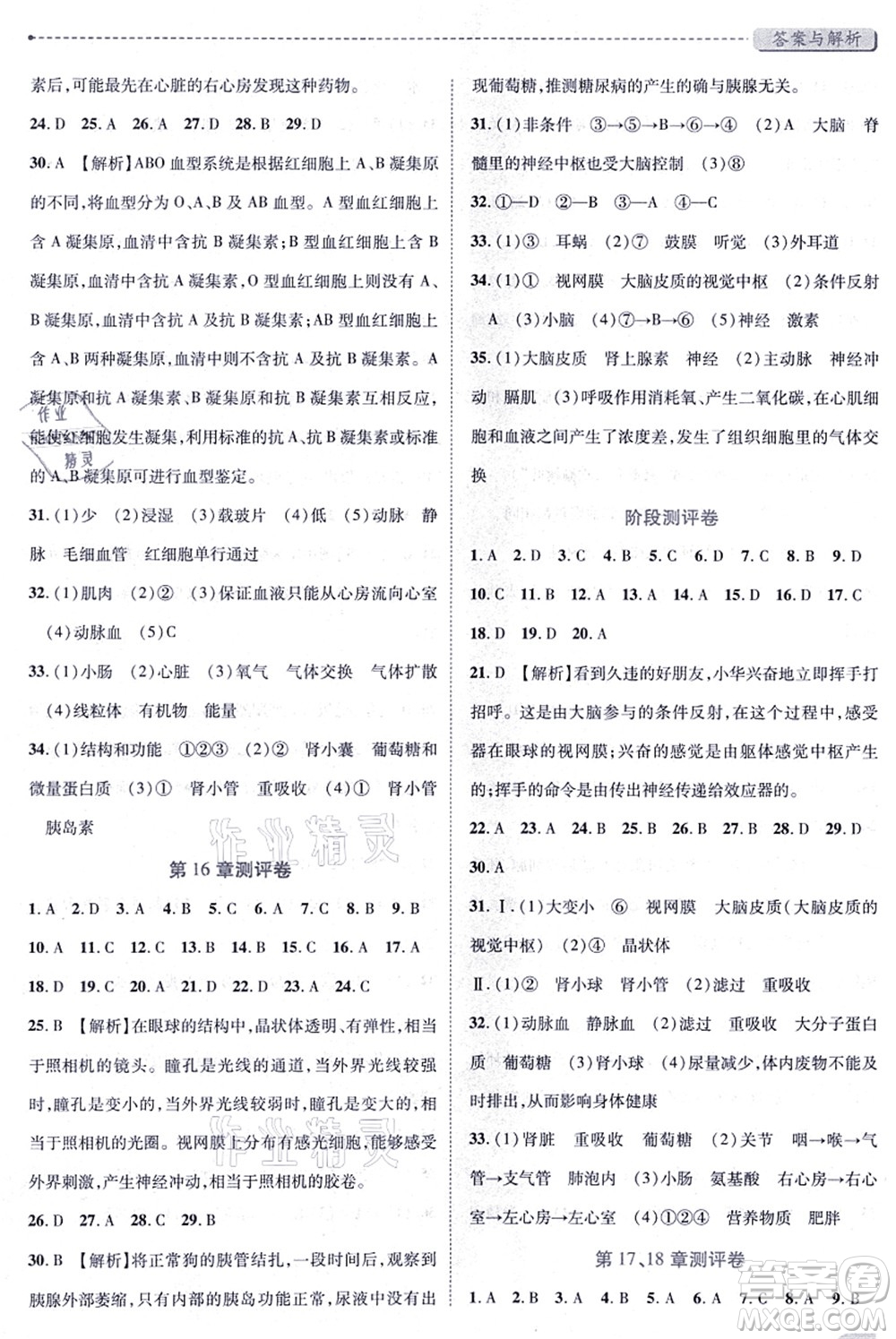 陜西師范大學(xué)出版總社有限公司2021績(jī)優(yōu)學(xué)案八年級(jí)生物上冊(cè)蘇科版答案