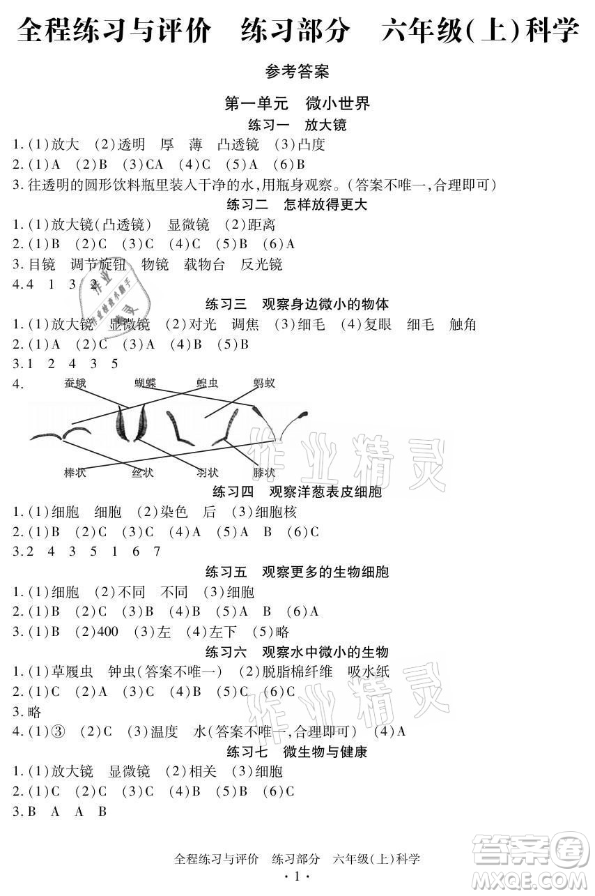 浙江人民出版社2021全程練習(xí)與評(píng)價(jià)六年級(jí)上冊(cè)科學(xué)教科版答案