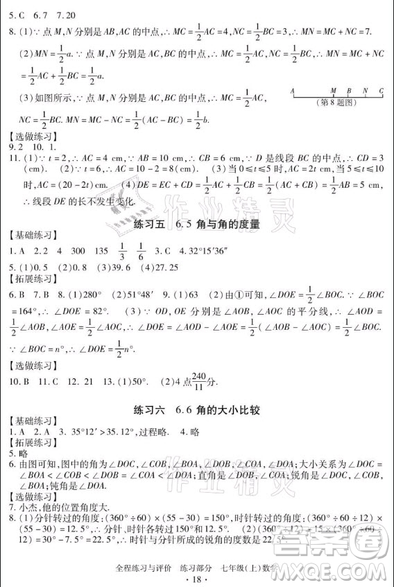 浙江人民出版社2021全程練習(xí)與評價(jià)七年級上冊數(shù)學(xué)浙教版答案