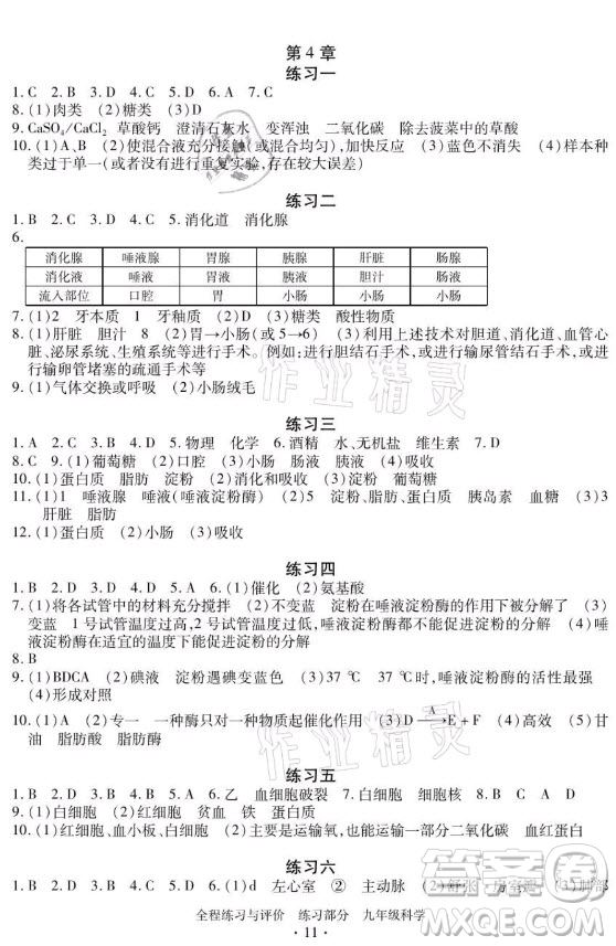 浙江人民出版社2021全程練習(xí)與評價(jià)九年級全一冊科學(xué)浙教版答案