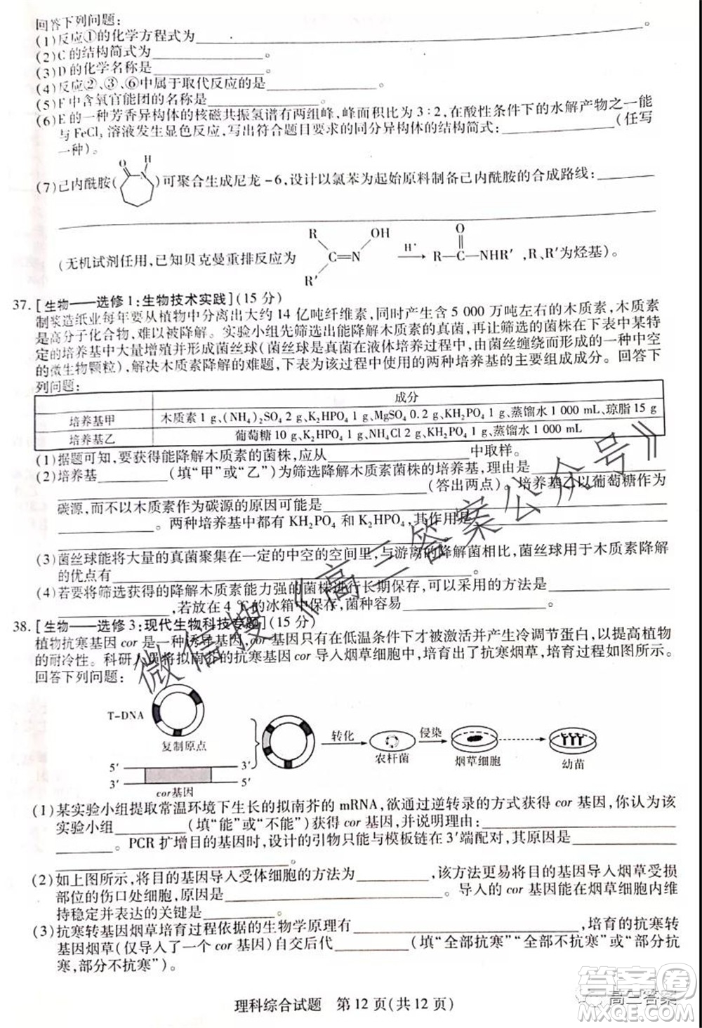 頂尖計(jì)劃2022屆高中畢業(yè)班第一次考試?yán)砜凭C合試題及答案