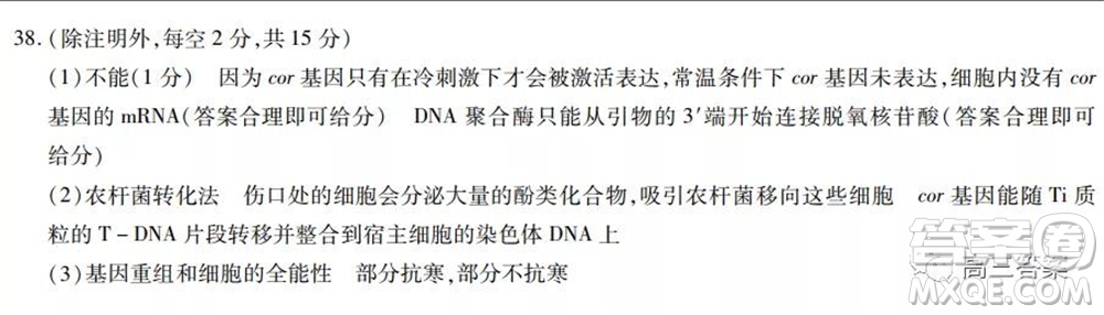 頂尖計(jì)劃2022屆高中畢業(yè)班第一次考試?yán)砜凭C合試題及答案