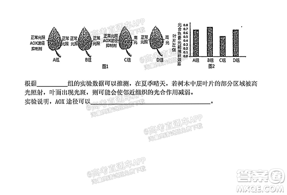 太原五中2021-2022學(xué)年度第一學(xué)期月考高三生物試題及答案