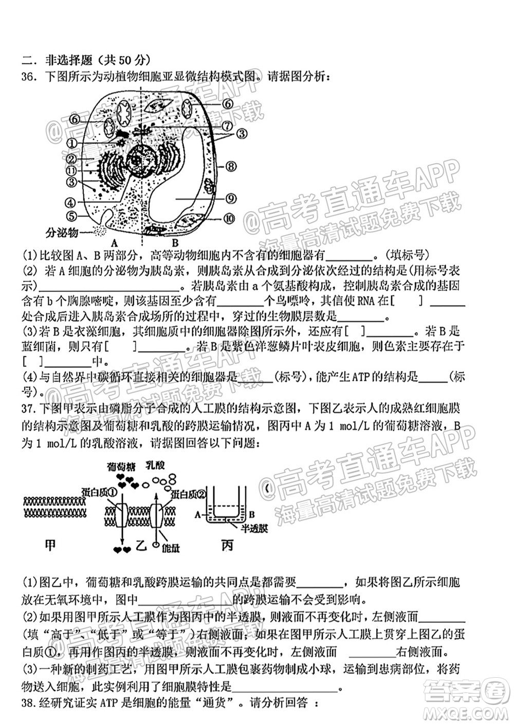太原五中2021-2022學(xué)年度第一學(xué)期月考高三生物試題及答案