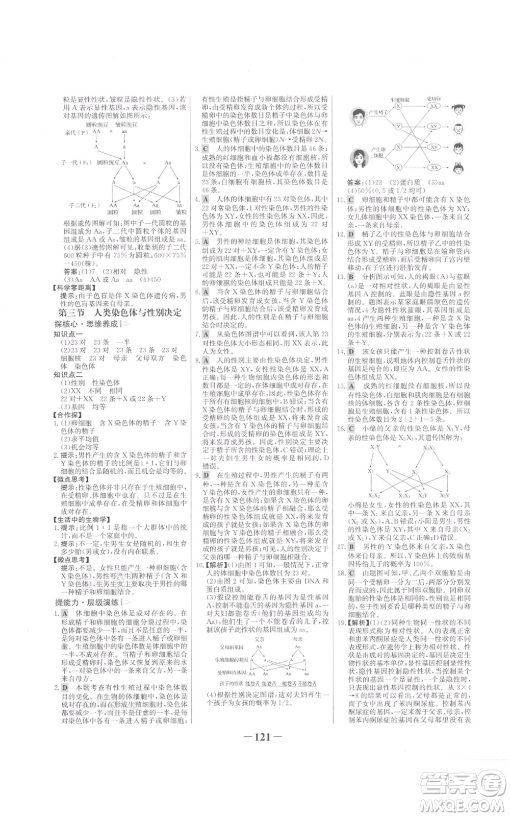 未來出版社2021世紀(jì)金榜金榜學(xué)案八年級上冊生物濟南版參考答案