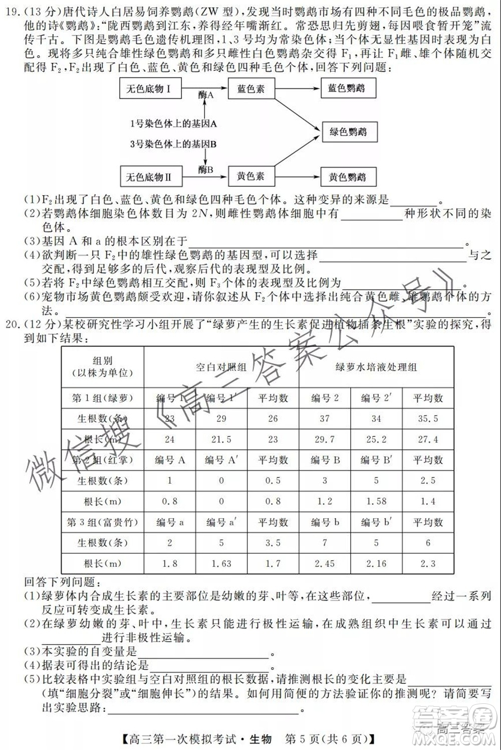 湘潭市2022屆高三第一次模擬考試生物試題及答案
