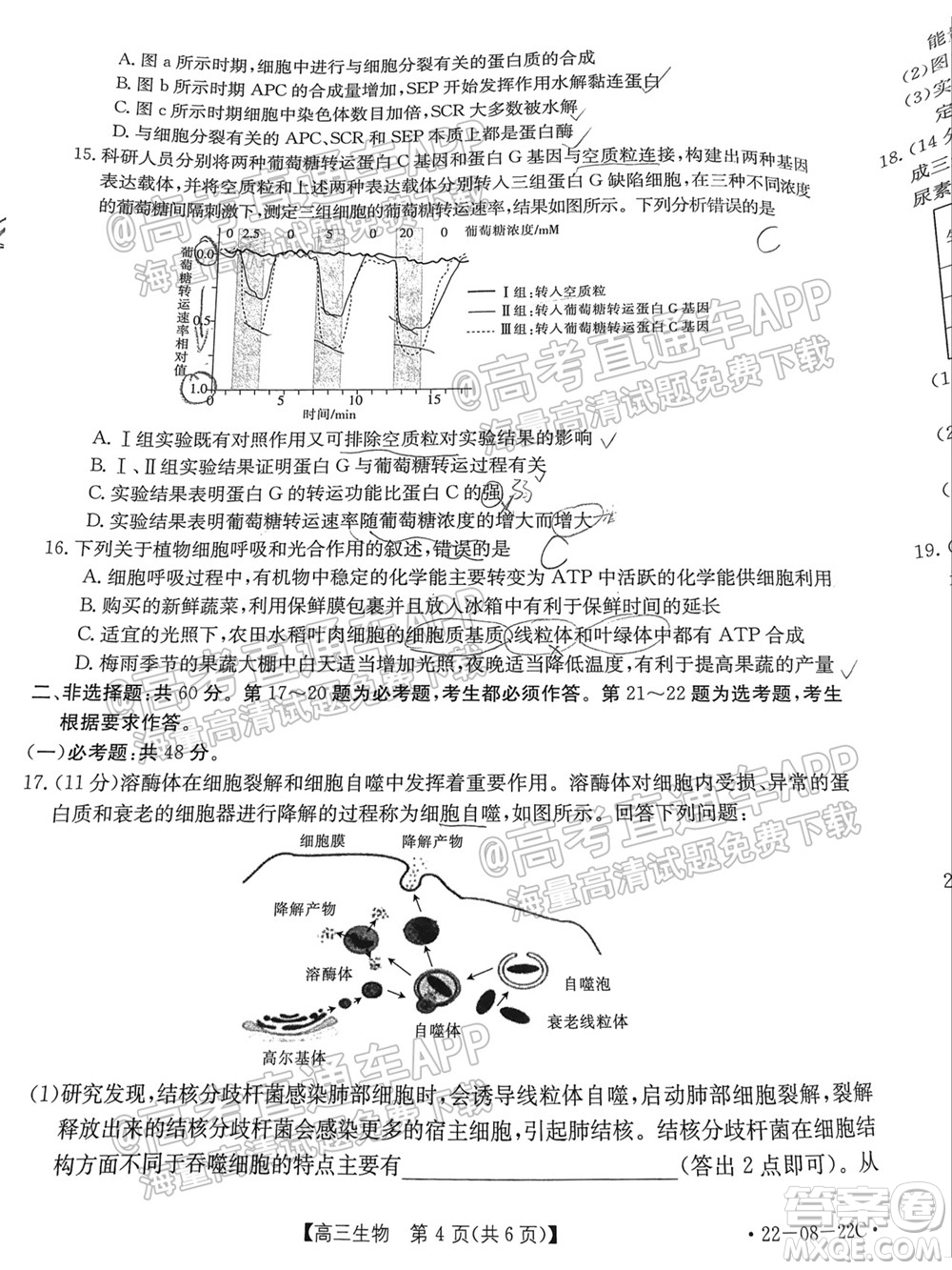 2022屆廣東金太陽(yáng)9月聯(lián)考高三一輪復(fù)習(xí)調(diào)研考生物試題及答案