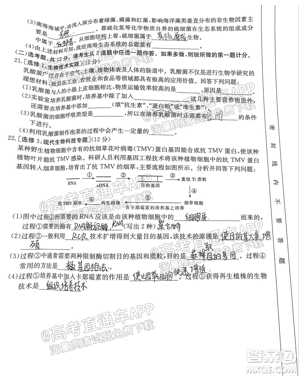 2022屆廣東金太陽(yáng)9月聯(lián)考高三一輪復(fù)習(xí)調(diào)研考生物試題及答案