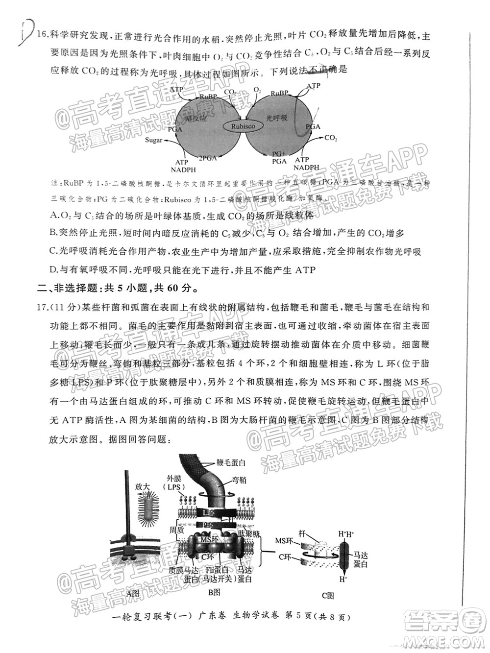 廣東百校聯(lián)考2022屆高三一輪復(fù)習(xí)聯(lián)考一廣東卷生物試卷及答案