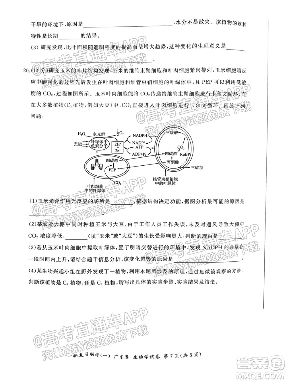 廣東百校聯(lián)考2022屆高三一輪復(fù)習(xí)聯(lián)考一廣東卷生物試卷及答案