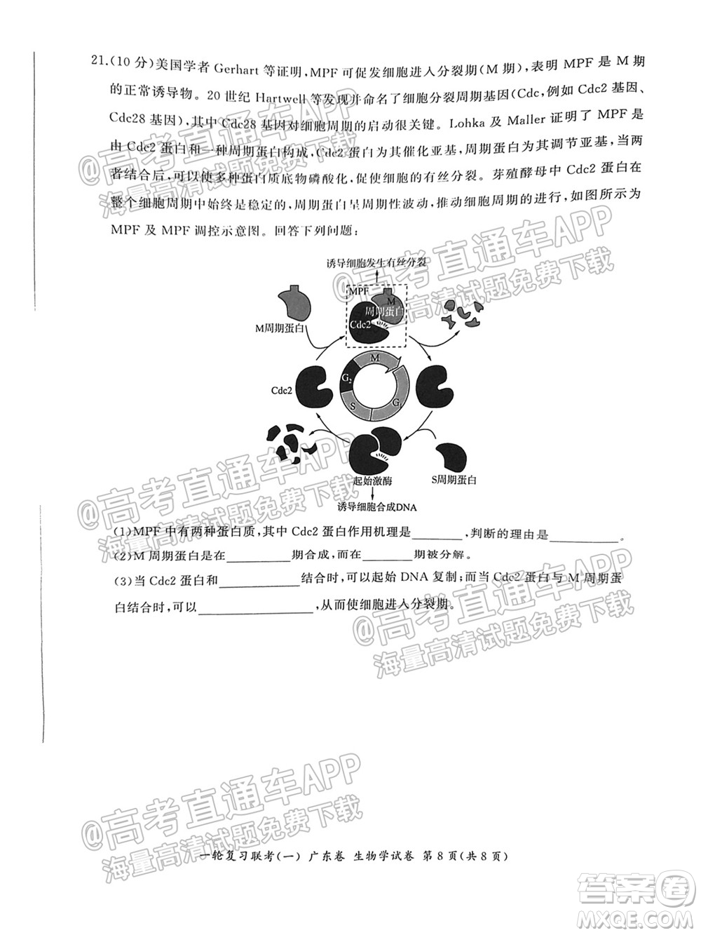 廣東百校聯(lián)考2022屆高三一輪復(fù)習(xí)聯(lián)考一廣東卷生物試卷及答案