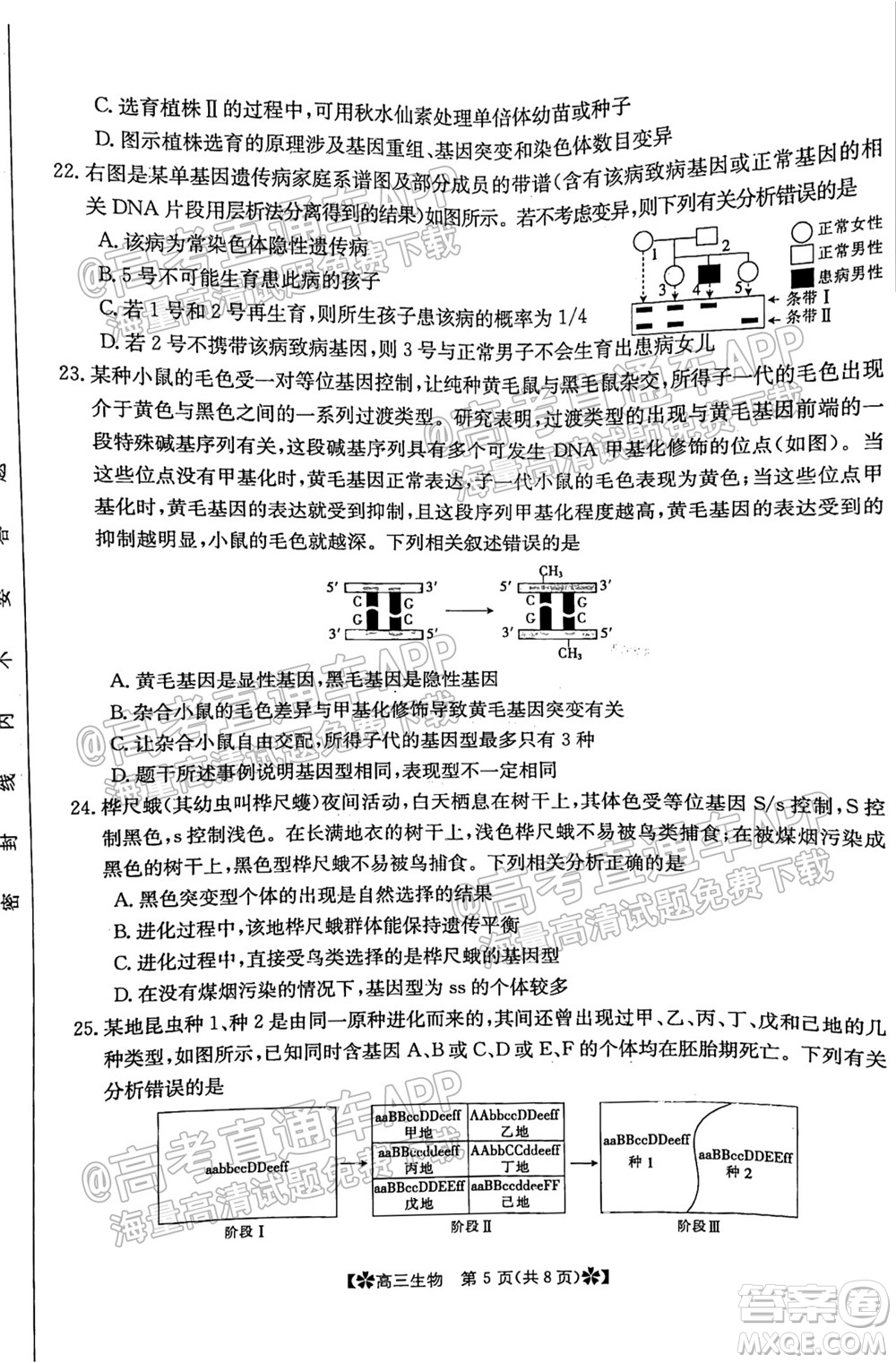河南省2021-2022年度高三階段性檢測三生物試題及答案