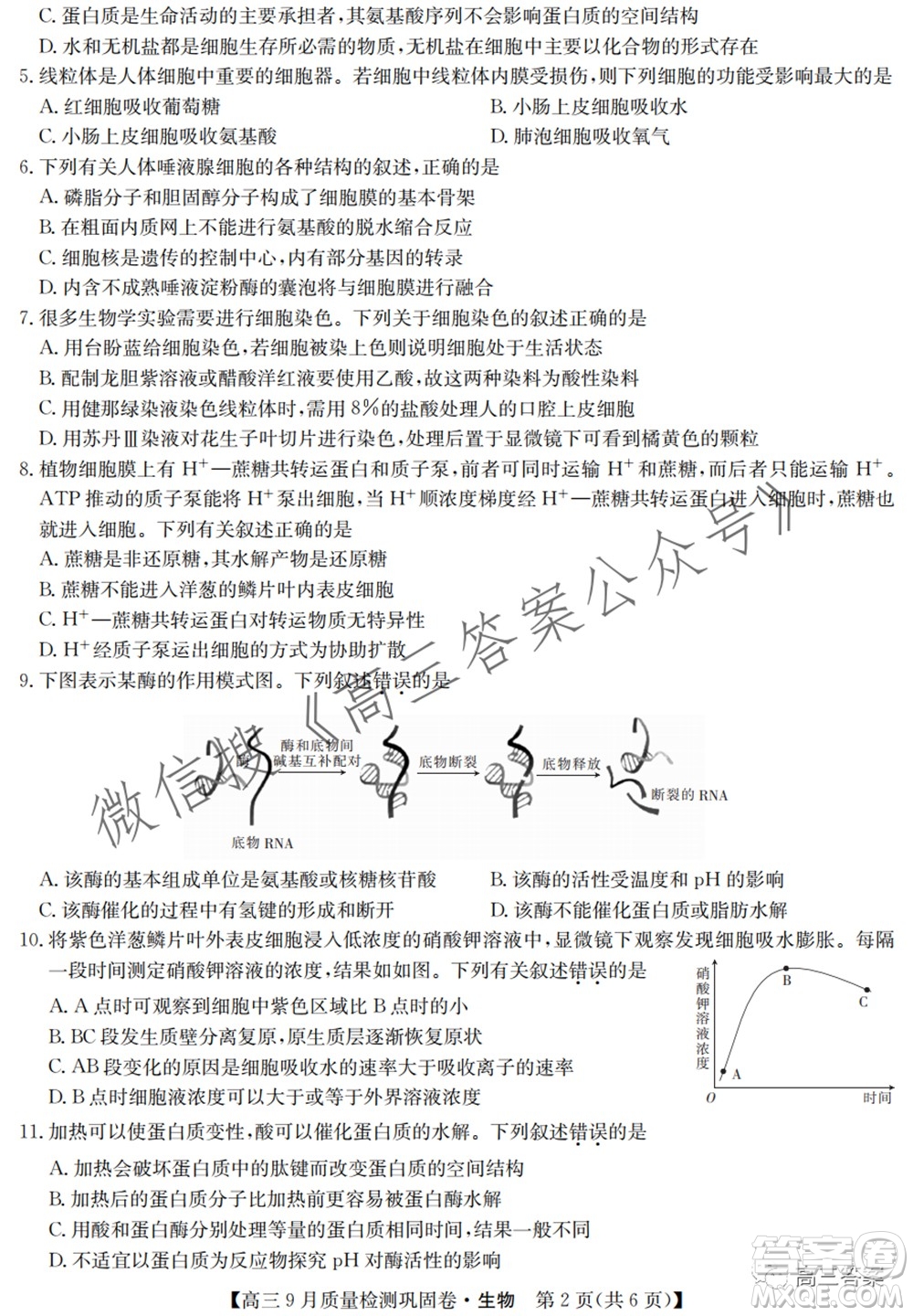 九師聯(lián)盟2021-2022學(xué)年高三9月質(zhì)量檢測鞏固卷生物試題及答案