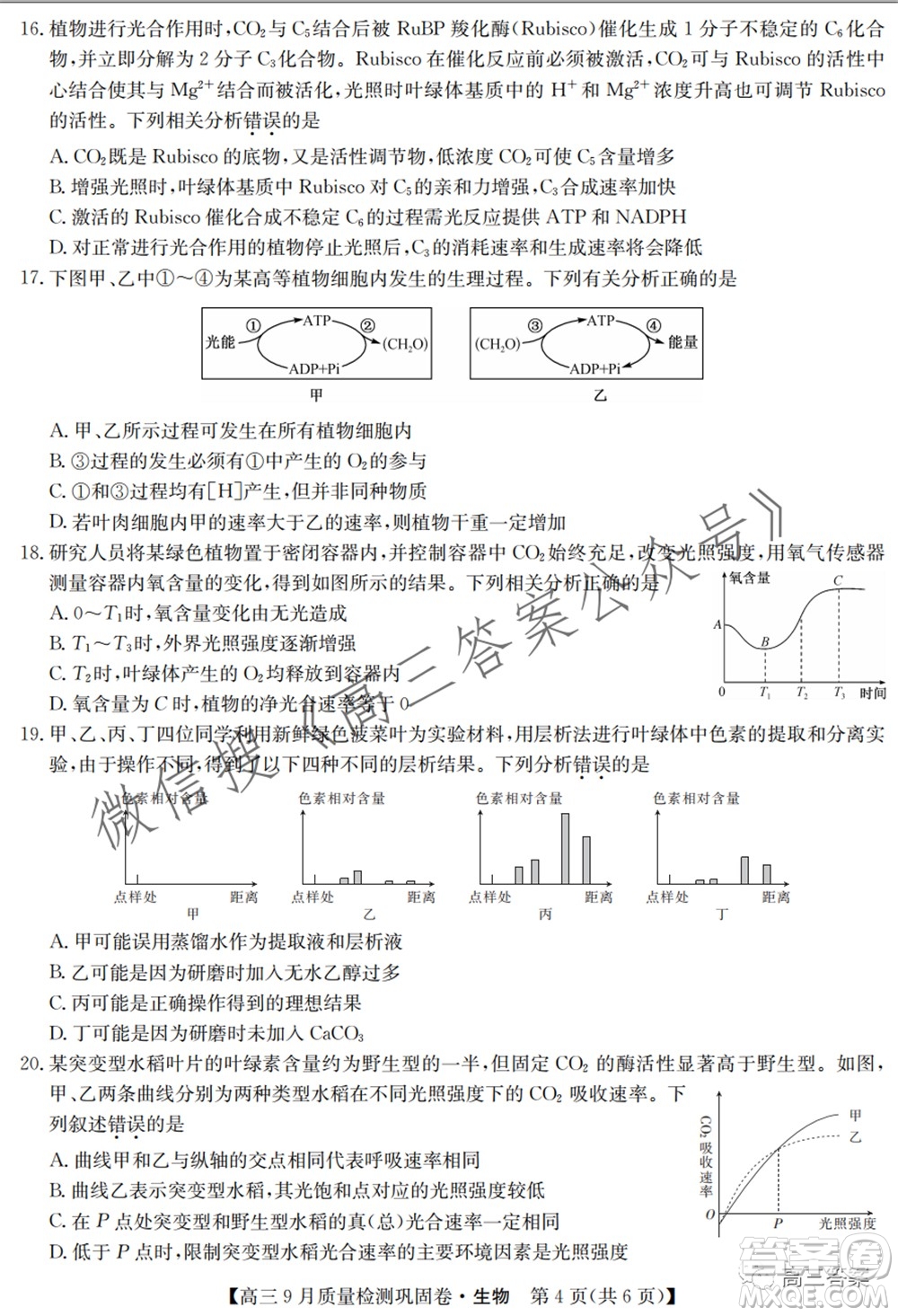 九師聯(lián)盟2021-2022學(xué)年高三9月質(zhì)量檢測鞏固卷生物試題及答案