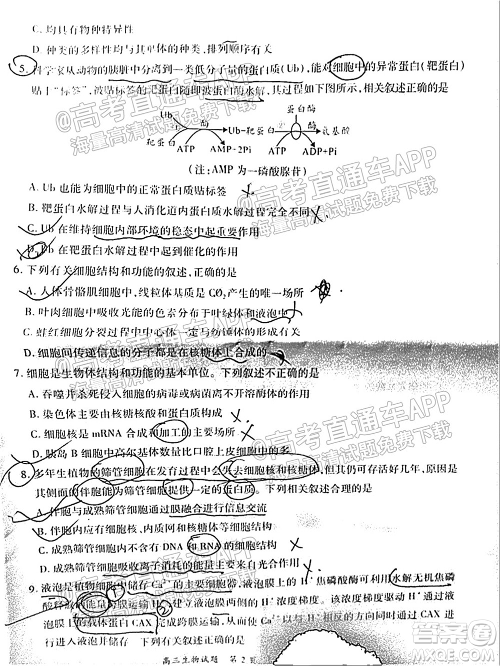 中原名校2021-2022學(xué)年上期第一次聯(lián)考高三生物試題及答案