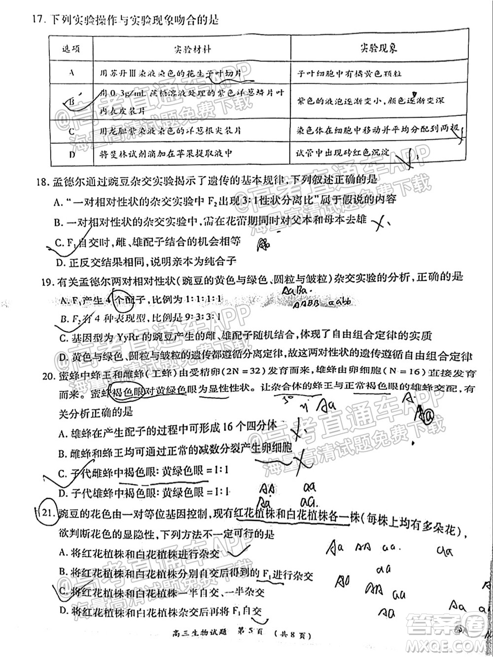 中原名校2021-2022學(xué)年上期第一次聯(lián)考高三生物試題及答案