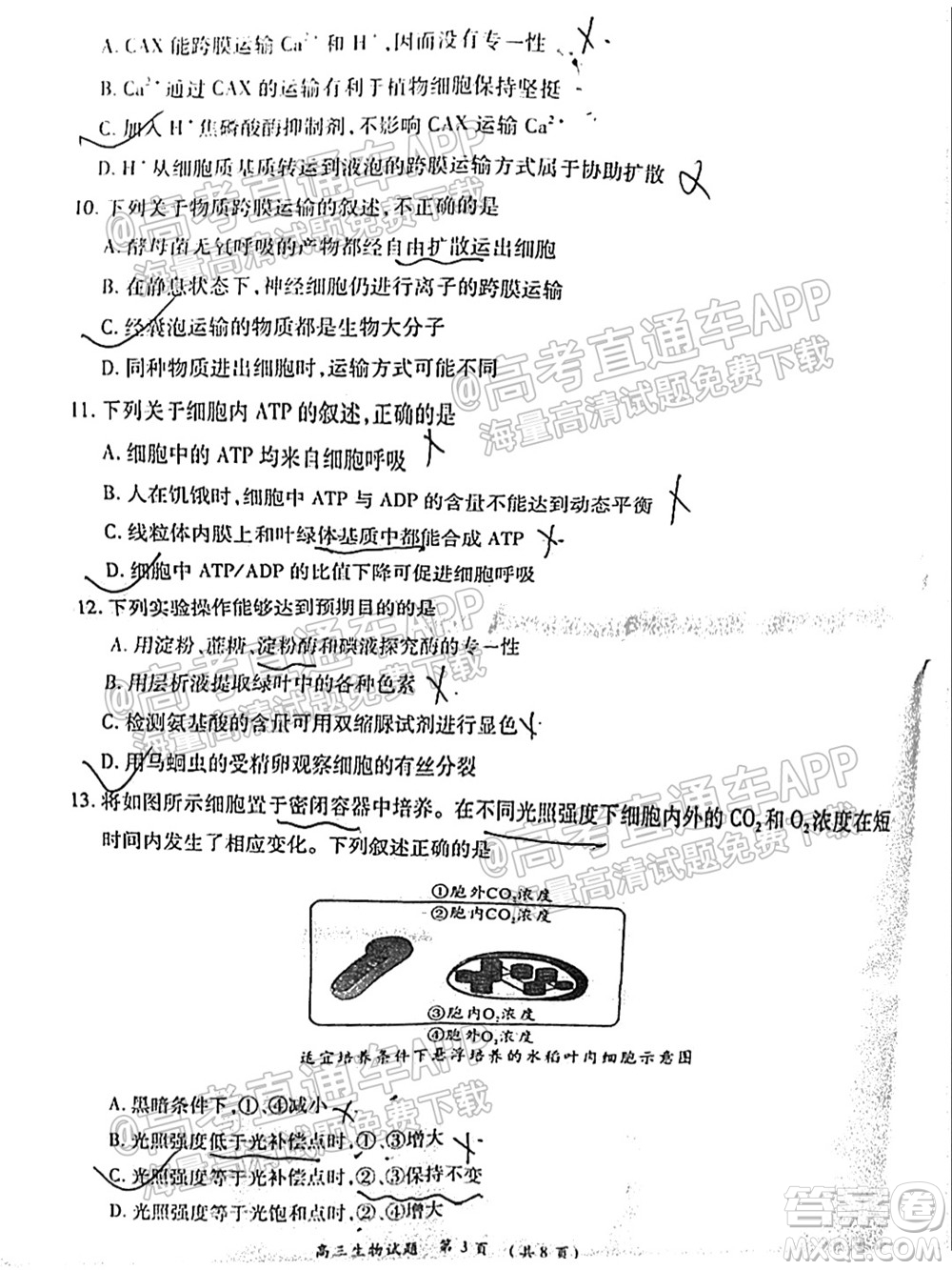 中原名校2021-2022學(xué)年上期第一次聯(lián)考高三生物試題及答案