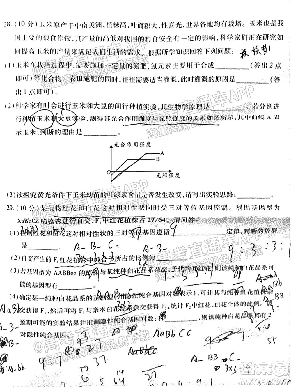 中原名校2021-2022學(xué)年上期第一次聯(lián)考高三生物試題及答案