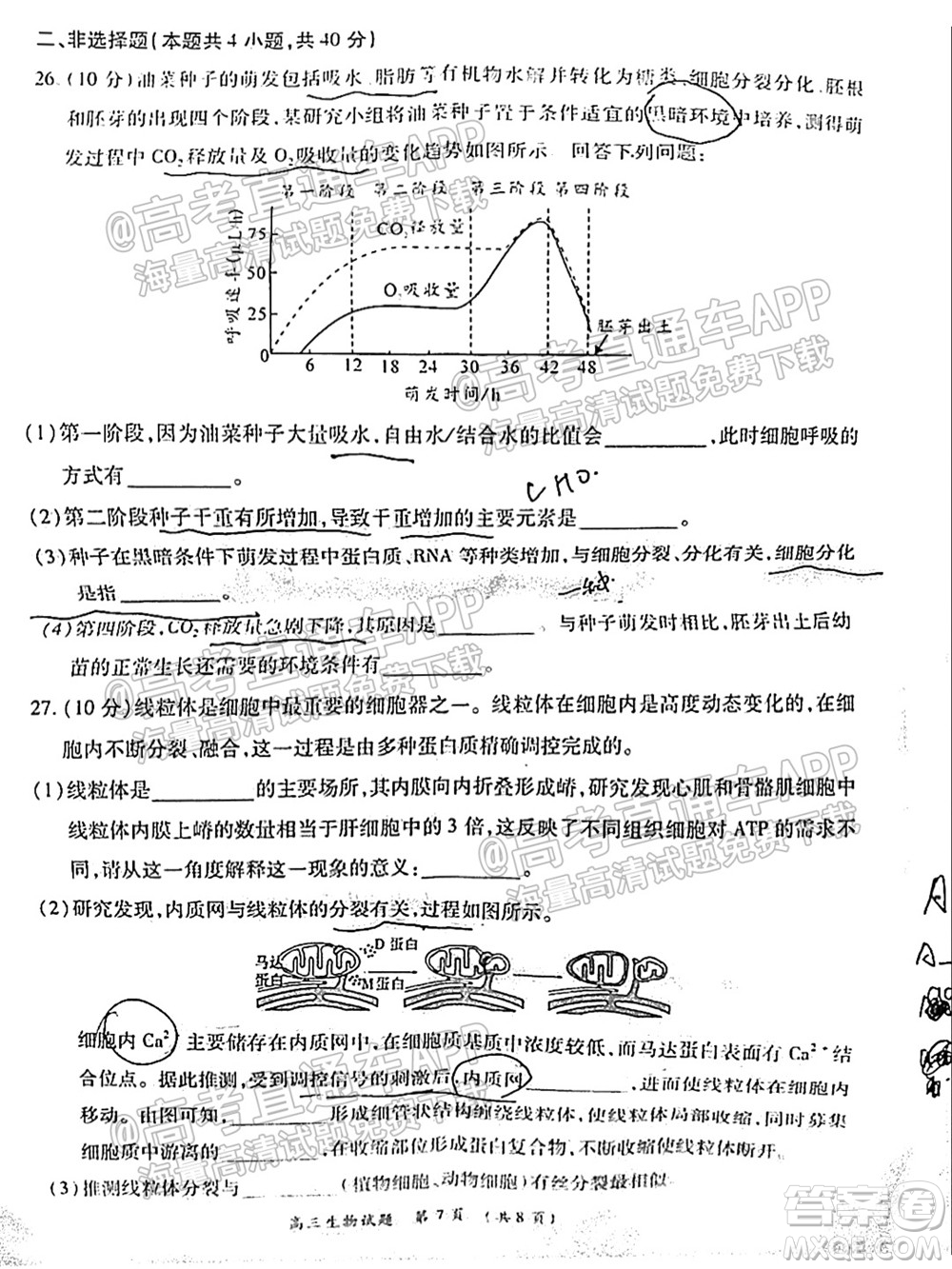 中原名校2021-2022學(xué)年上期第一次聯(lián)考高三生物試題及答案