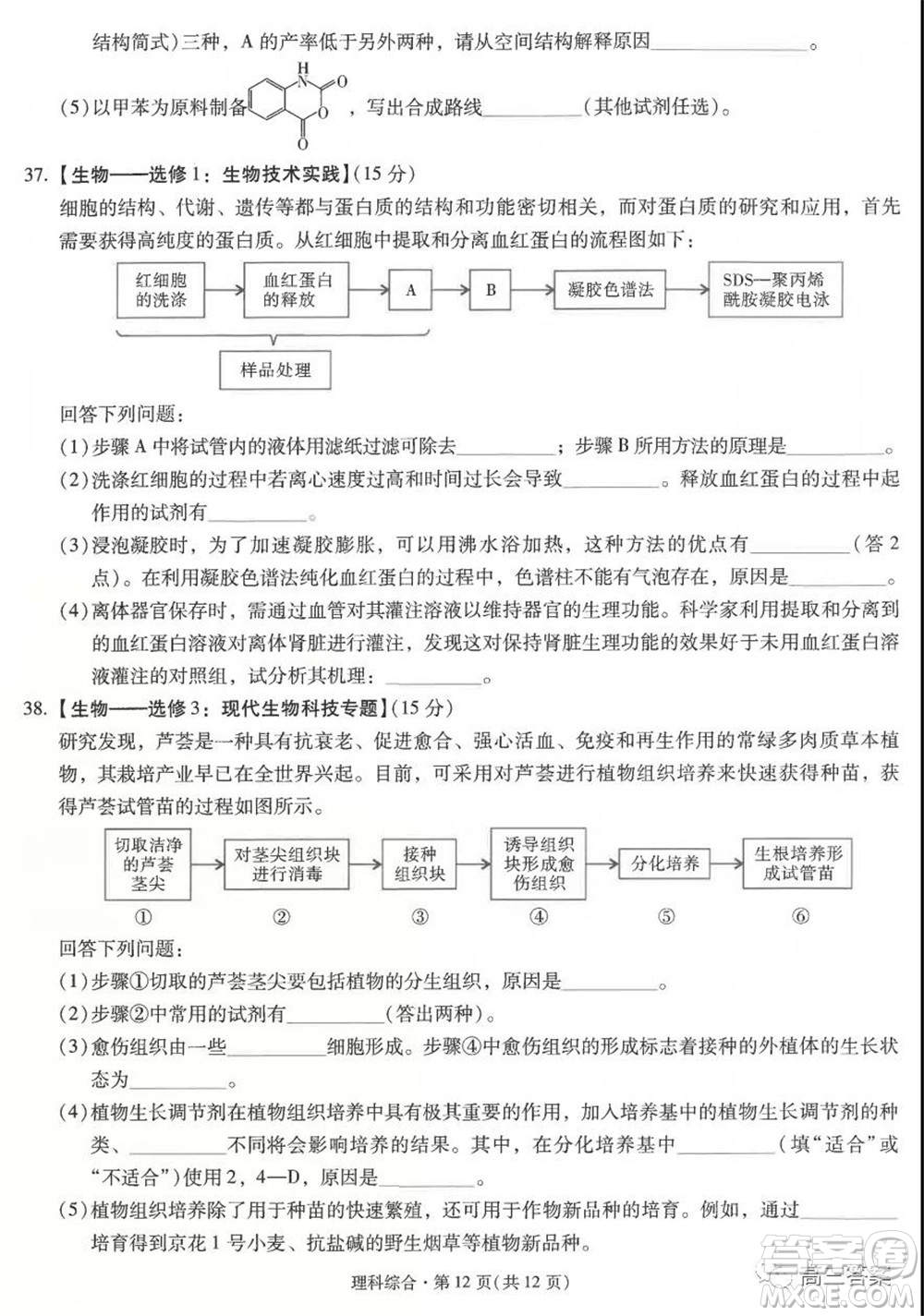 昆明市第一中學(xué)2022屆高中新課標(biāo)高三第二次雙基檢測(cè)理科綜合試卷答案