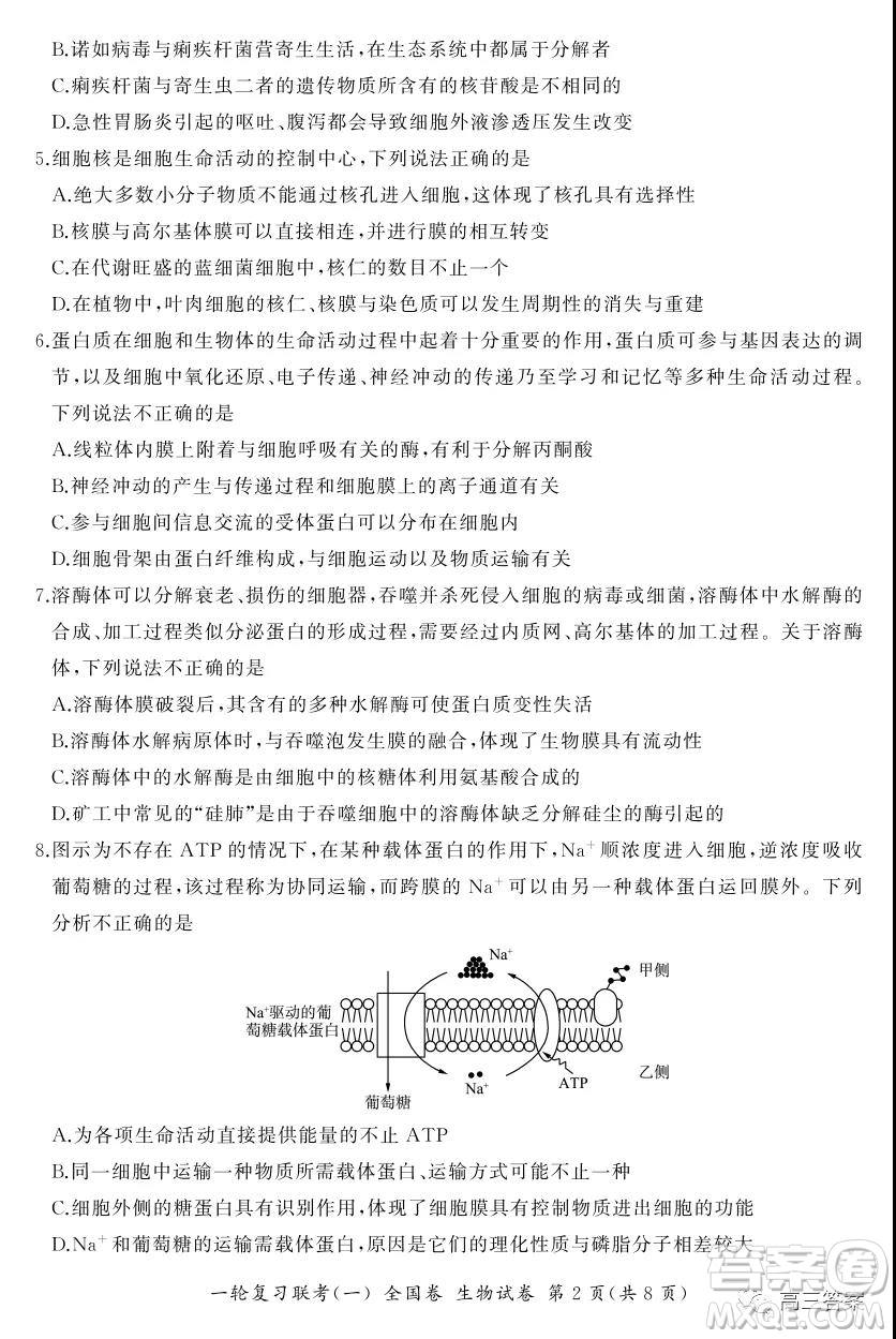 百師聯(lián)盟2022屆高三一輪復習聯(lián)考一全國卷生物試卷及答案