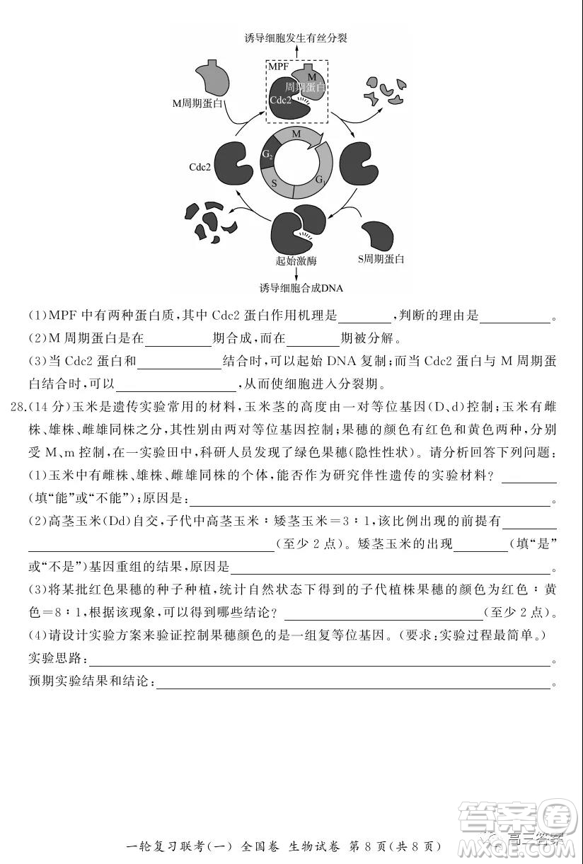 百師聯(lián)盟2022屆高三一輪復習聯(lián)考一全國卷生物試卷及答案