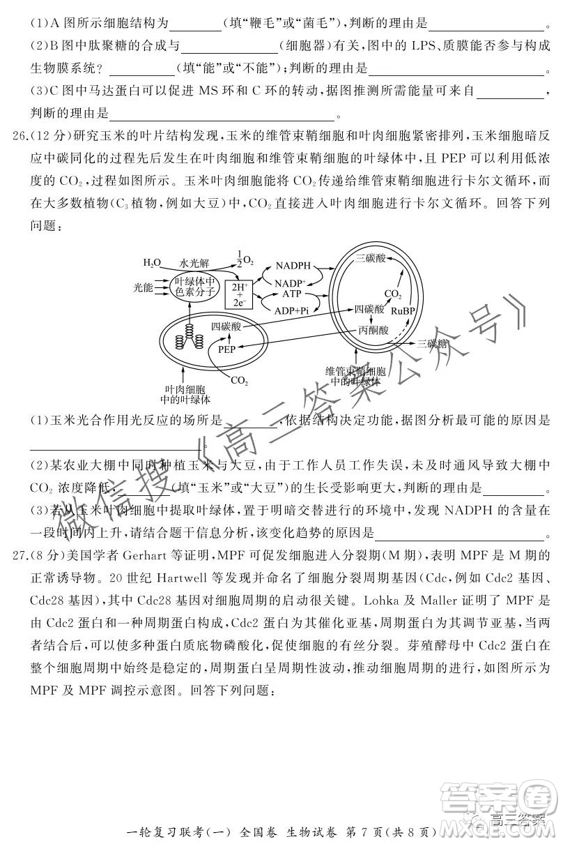 百師聯(lián)盟2022屆高三一輪復習聯(lián)考一全國卷生物試卷及答案