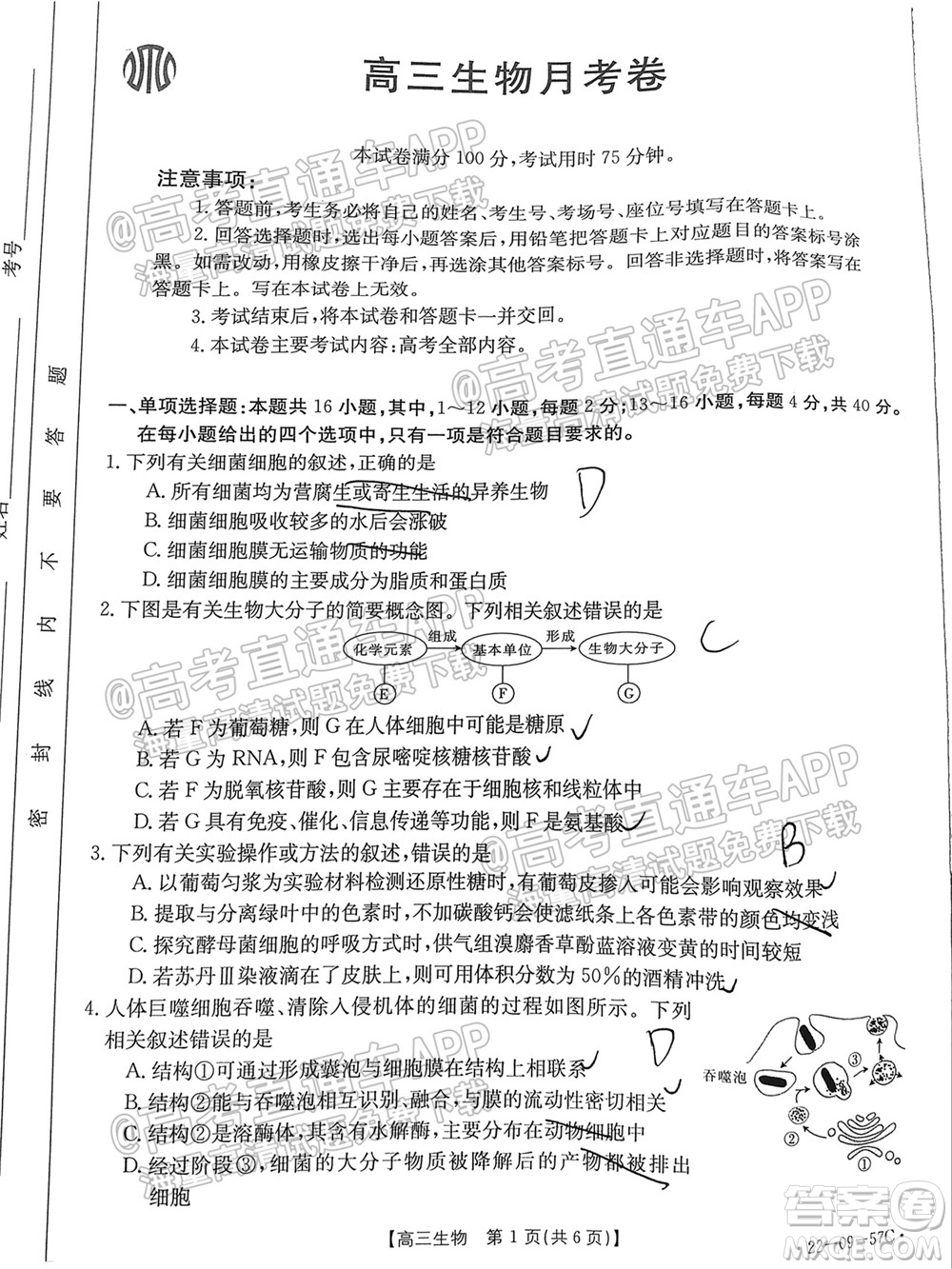 2022屆福建金太陽高三10月聯(lián)考生物試題及答案