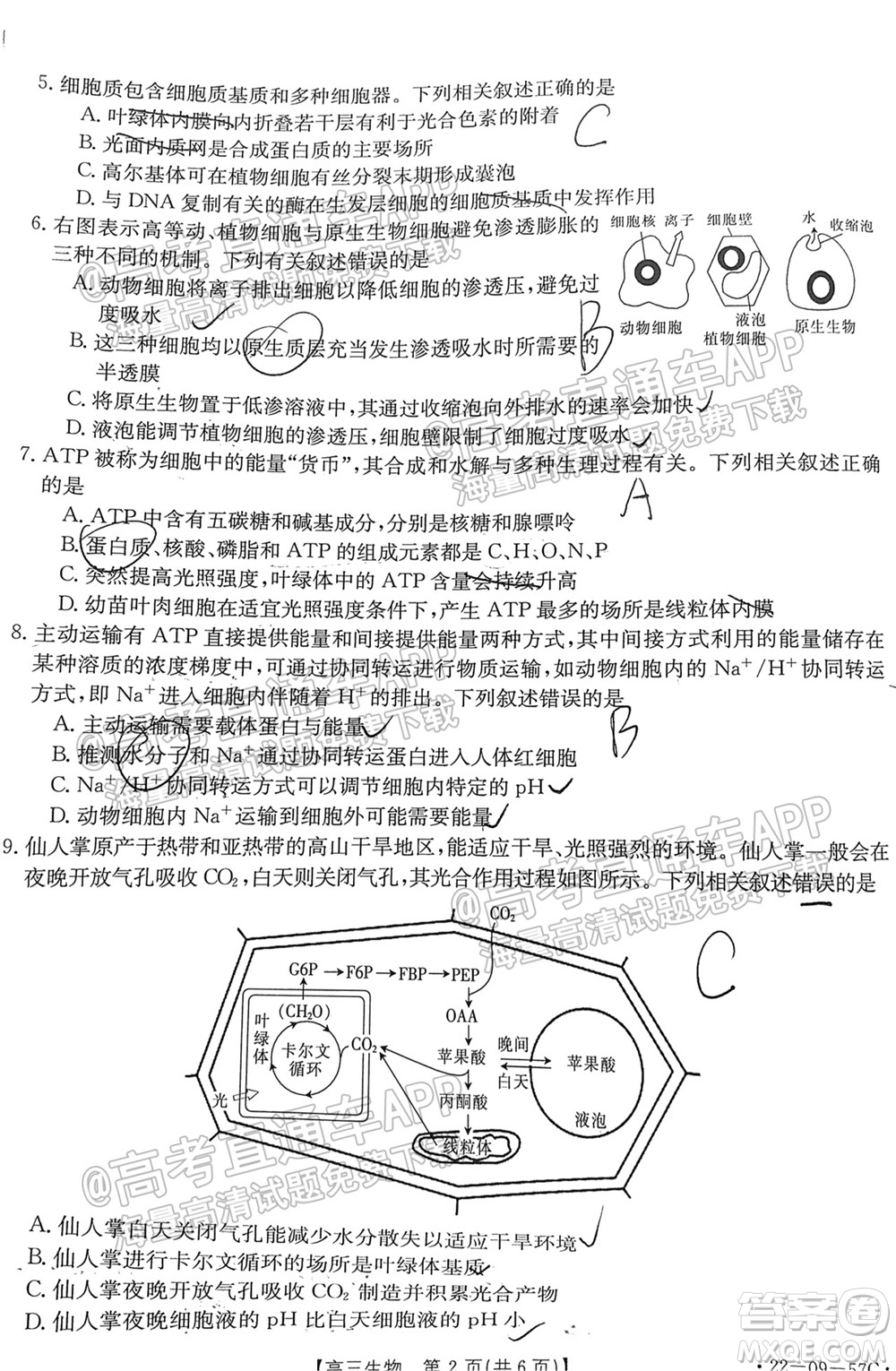 2022屆福建金太陽高三10月聯(lián)考生物試題及答案