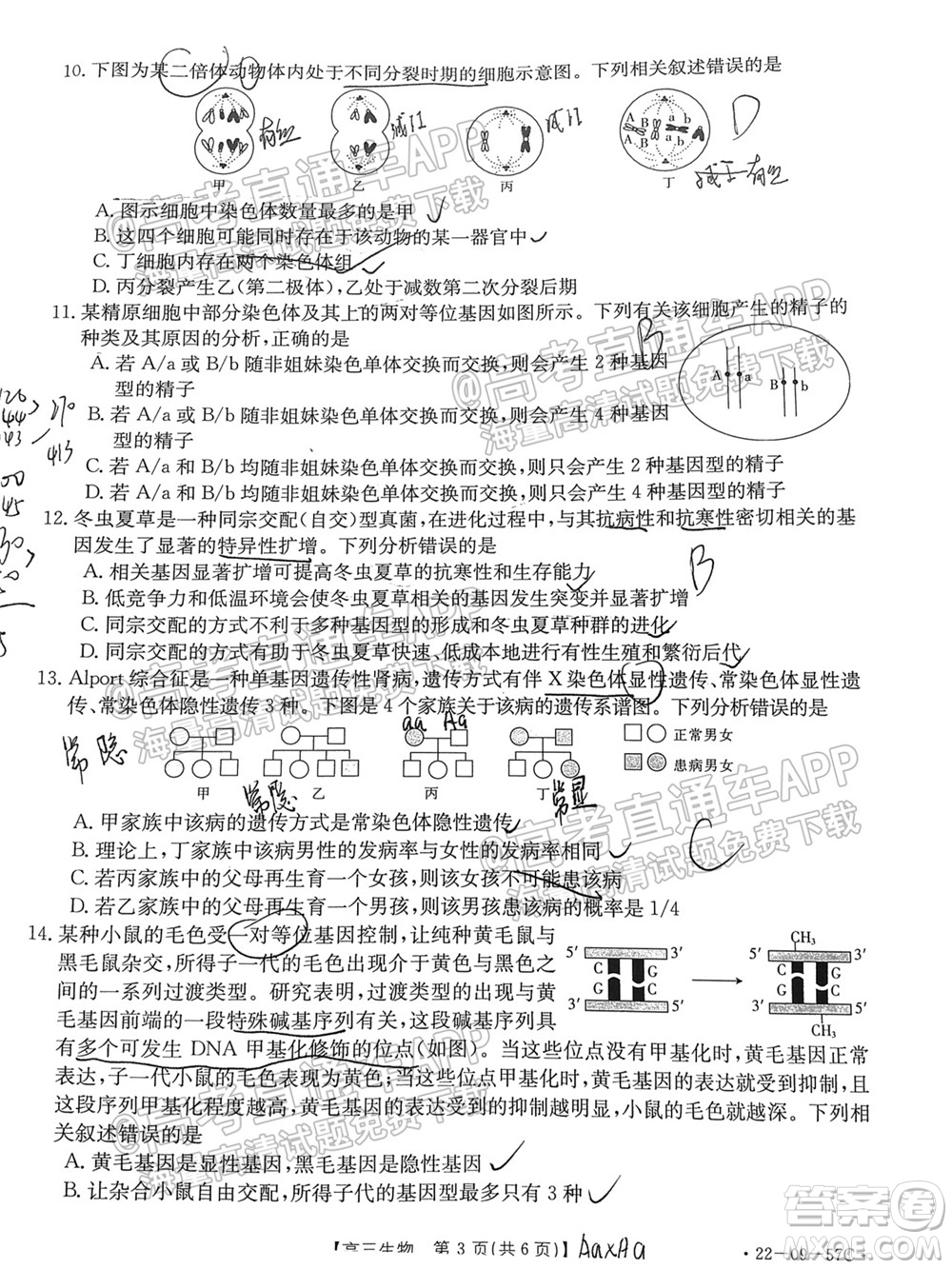 2022屆福建金太陽高三10月聯(lián)考生物試題及答案