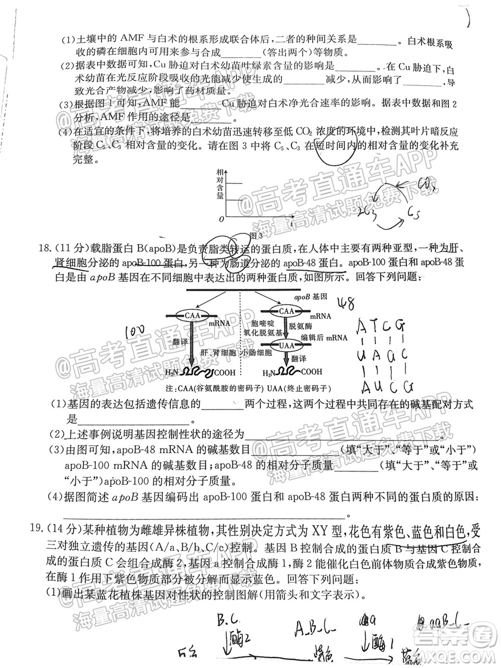 2022屆福建金太陽高三10月聯(lián)考生物試題及答案