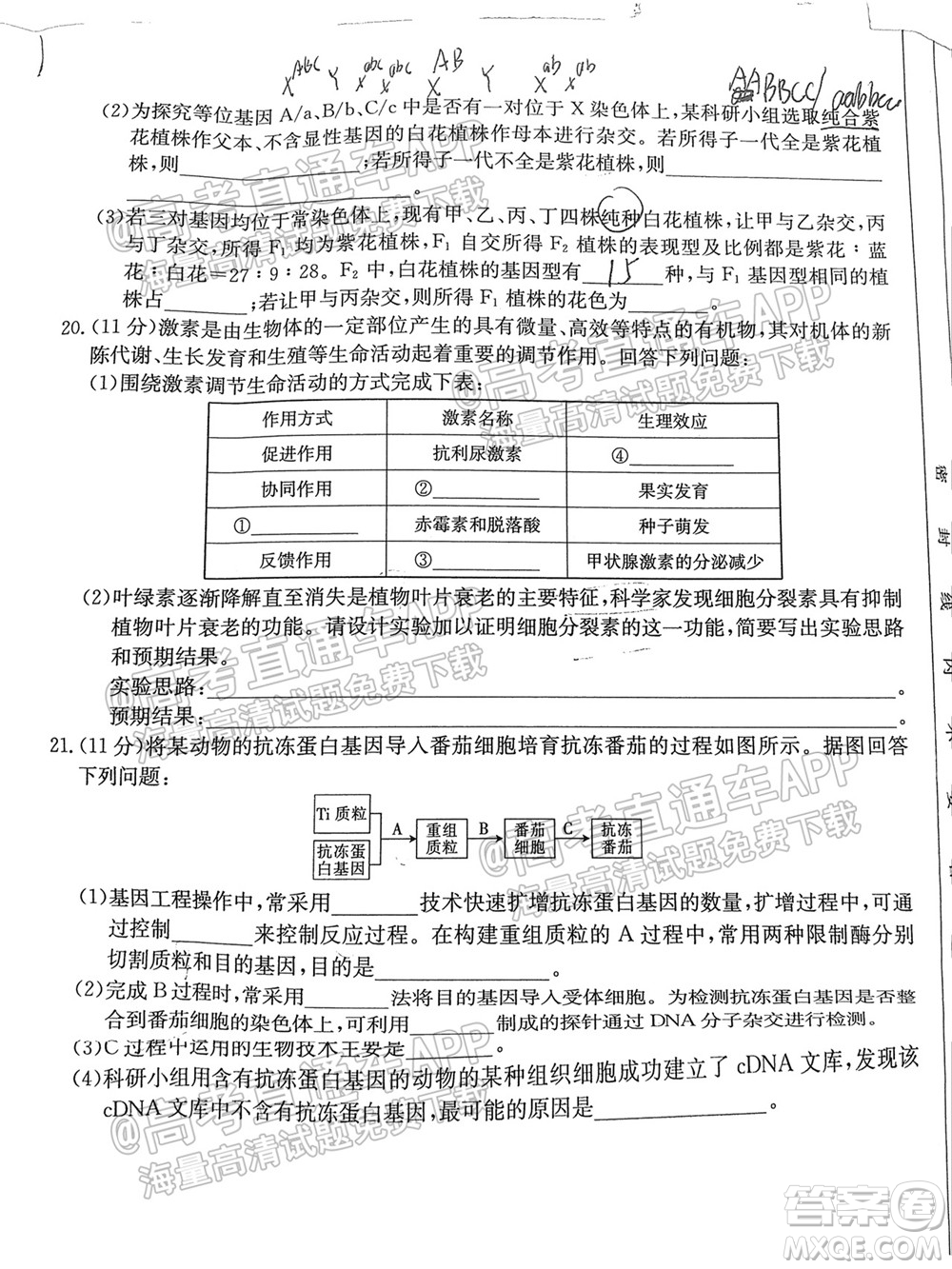 2022屆福建金太陽高三10月聯(lián)考生物試題及答案