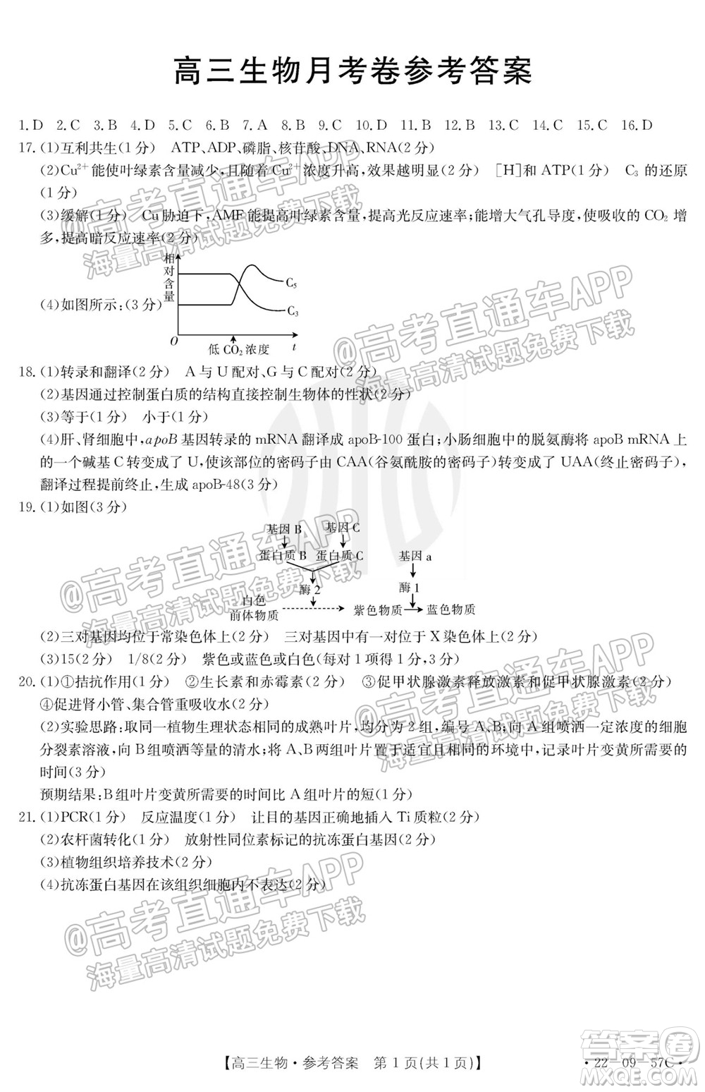 2022屆福建金太陽高三10月聯(lián)考生物試題及答案