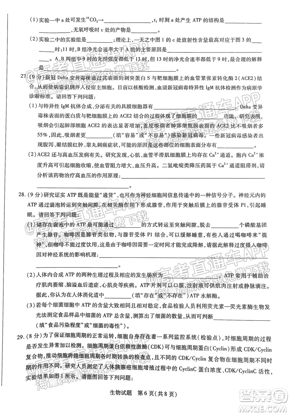 皖豫名校聯(lián)盟體2022屆高中畢業(yè)班第一次考試生物試題及答案
