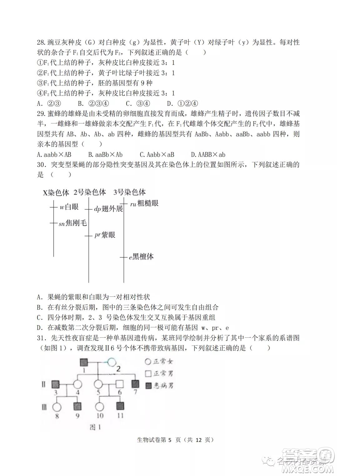 哈三中2021-2022學(xué)年度高三學(xué)年第二次驗(yàn)收考試生物試卷及答案