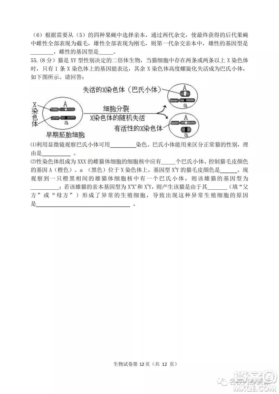 哈三中2021-2022學(xué)年度高三學(xué)年第二次驗(yàn)收考試生物試卷及答案