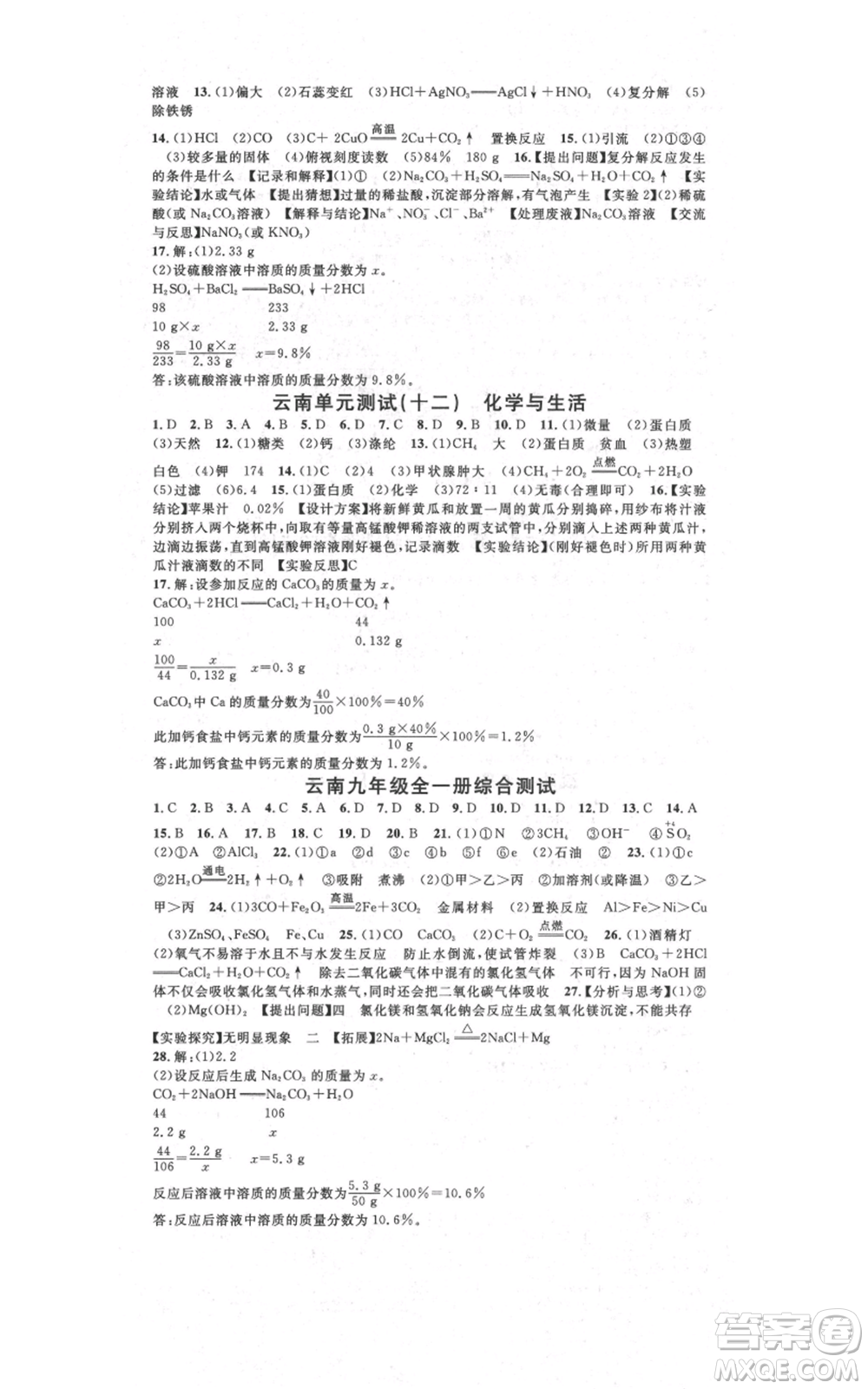 吉林教育出版社2021名校課堂滾動學習法九年級化學人教版背記手冊云南專版參考答案